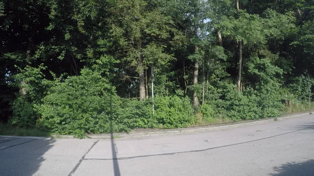 riu submission: fifthflip