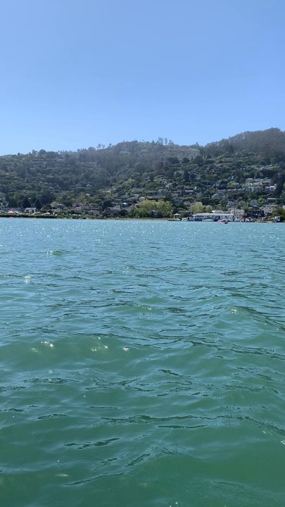 Sea Trek - Boating Near Me - Sausalito, California