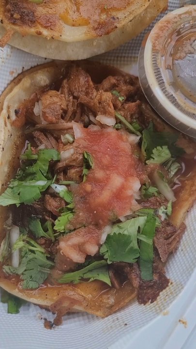 Maria's Mexican Tacos - I got 2 quesa barbacoa tacos to go so my daughter could enjoy what I just enjoyed!!! Happiness!!!! - Mexican Near Me - Auburn, California