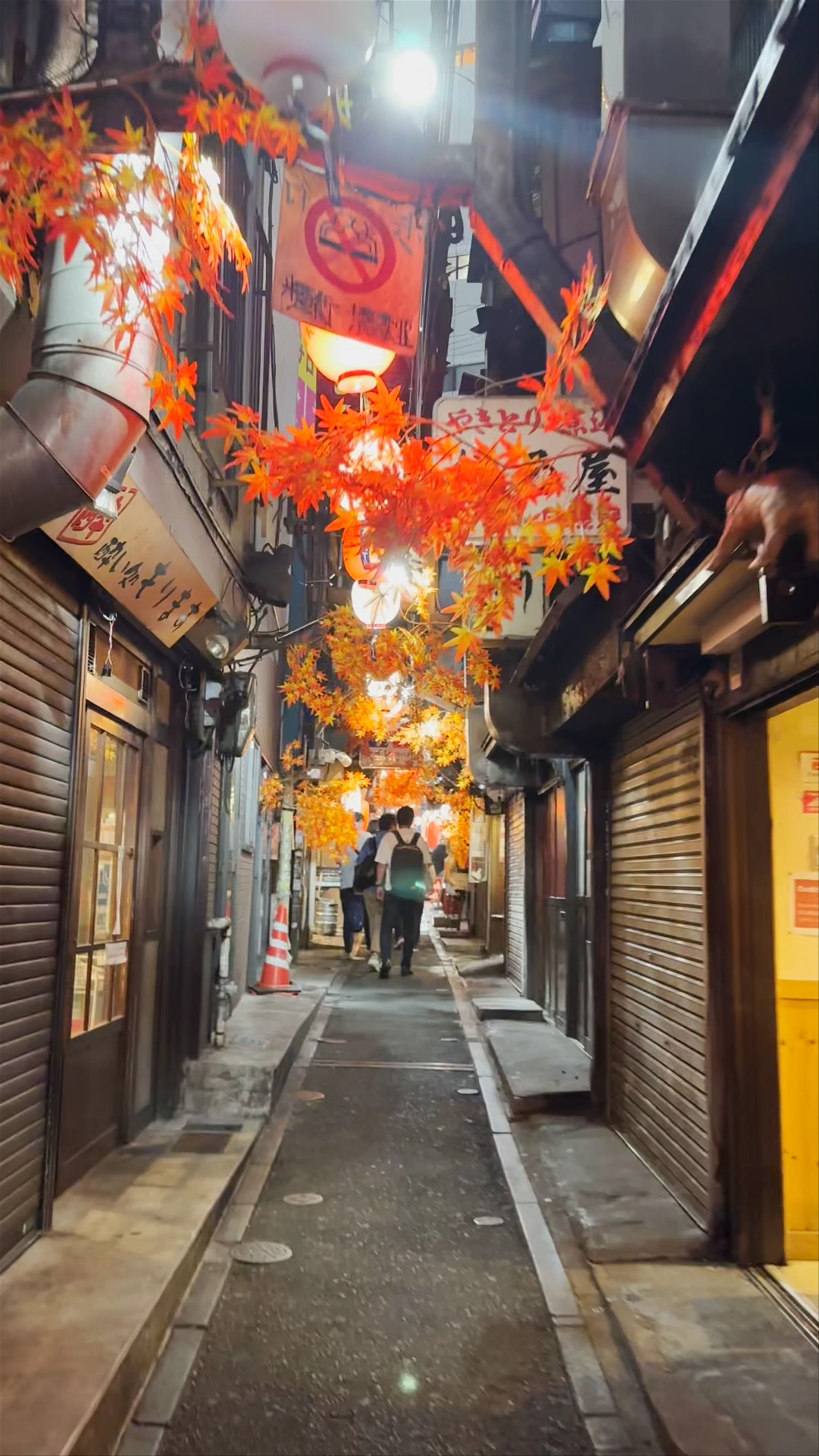 Omoide Yokochō, 1 Chome-2 Nishishinjuku, Shinjuku City, Tokyo, Japan