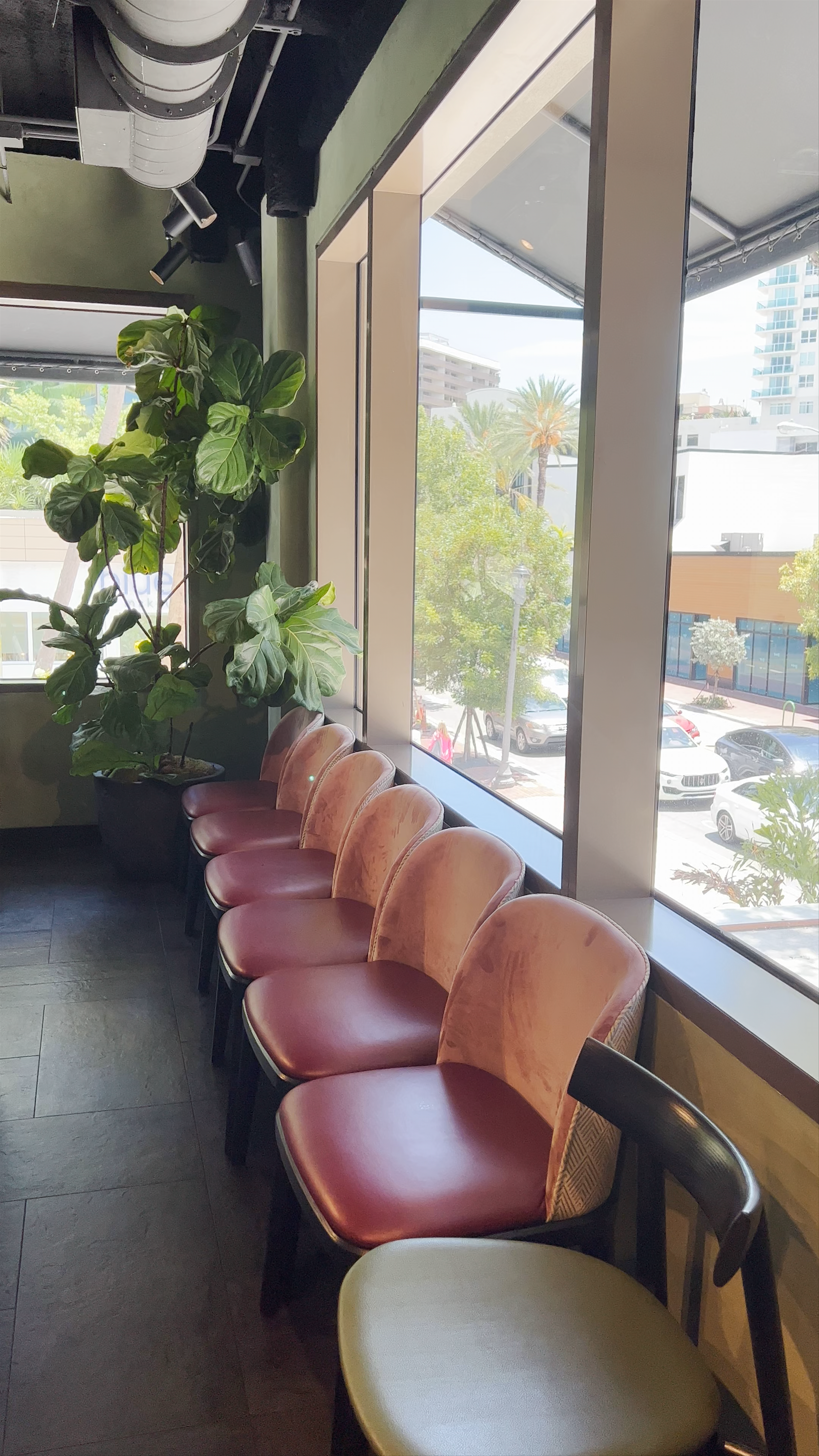 PLANTA Queen | Coconut Grove