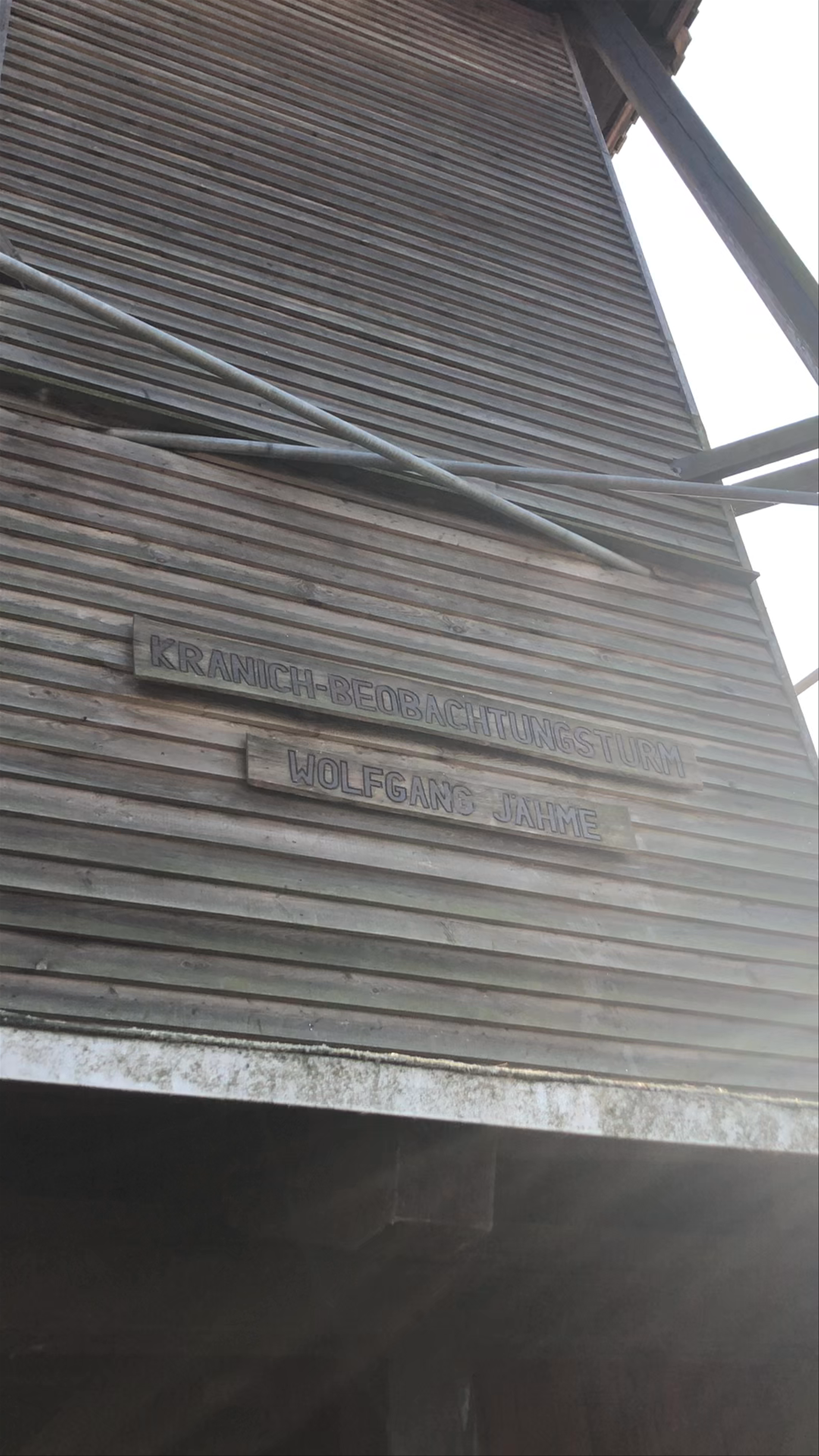 Aussichtsturm Borcheltsbusch - Kranichturm