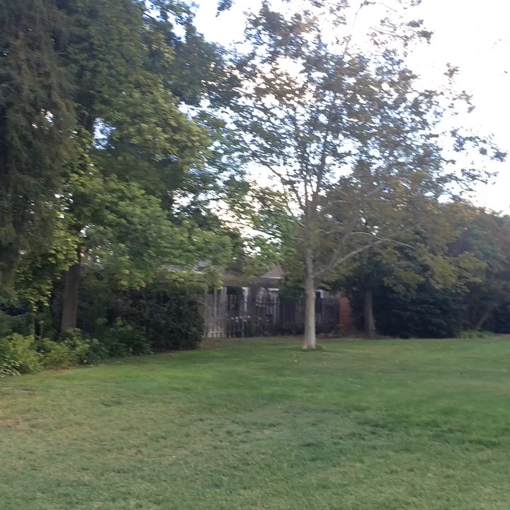 Covell Park - Parks Near Me - Davis, California