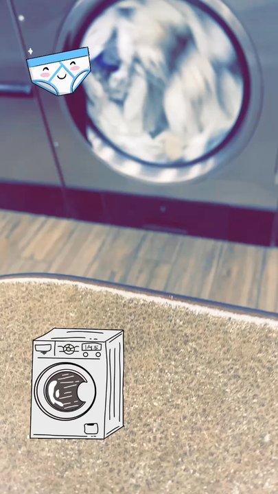 Laundry Connection - The music is great here - Laundry Services Near Me - Louisville, Kentucky