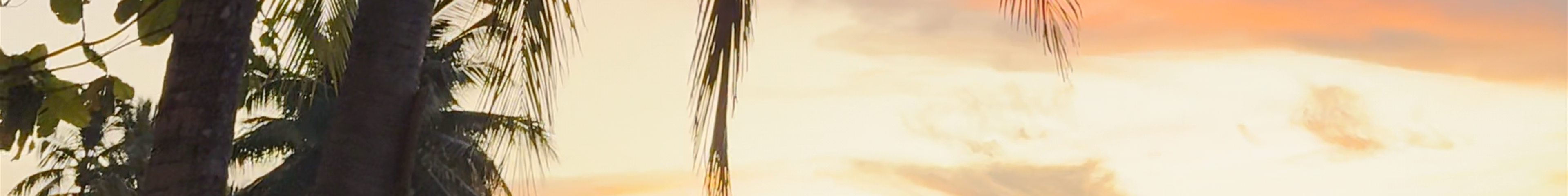 Tours & experiences in Fiji
