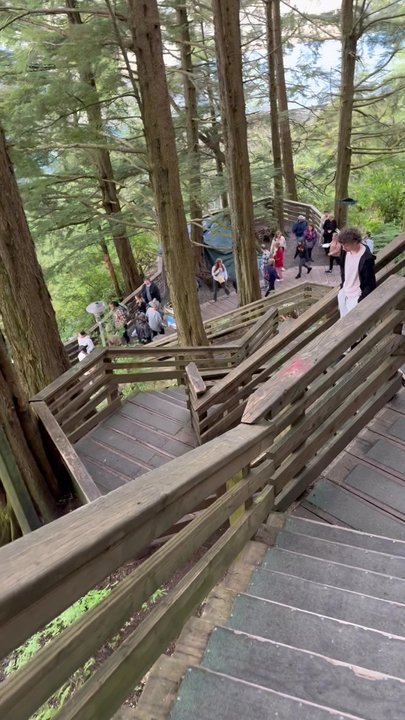 Married Man's Trail - We went up these stairs and down again to the trail. - Hiking Near Me