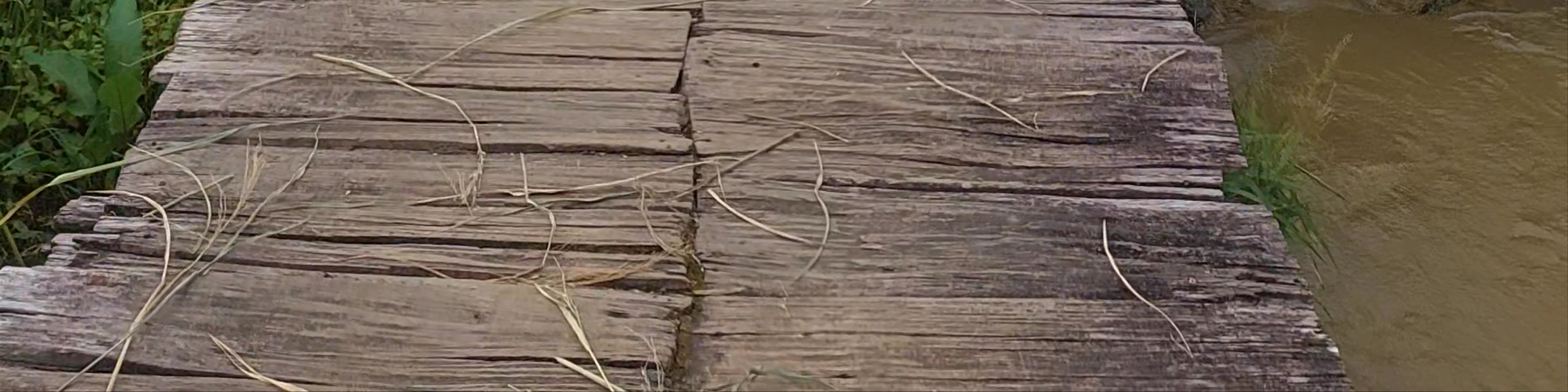 Terraced Rice Fields