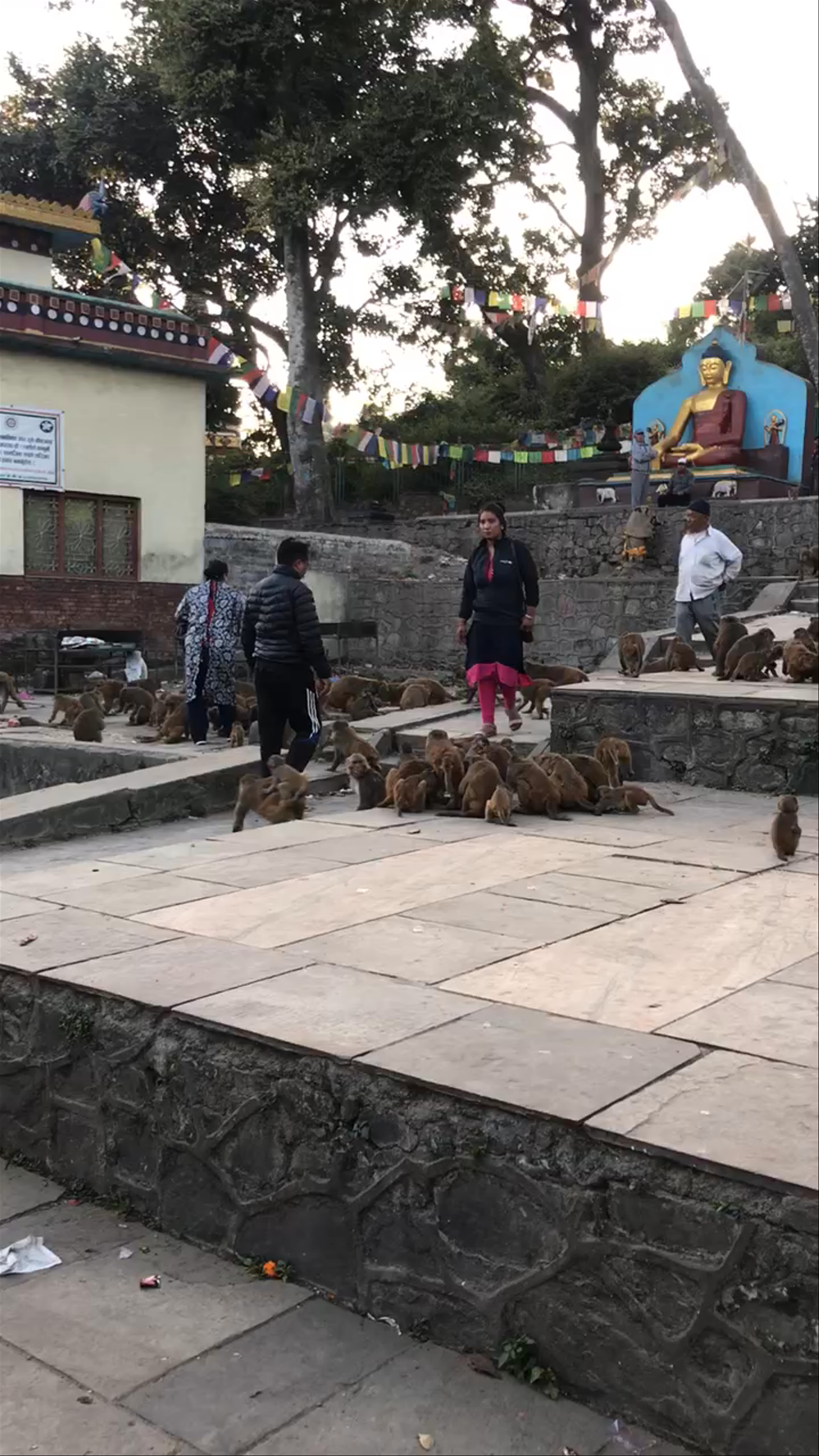 Swayambhunaath Mahachaitya