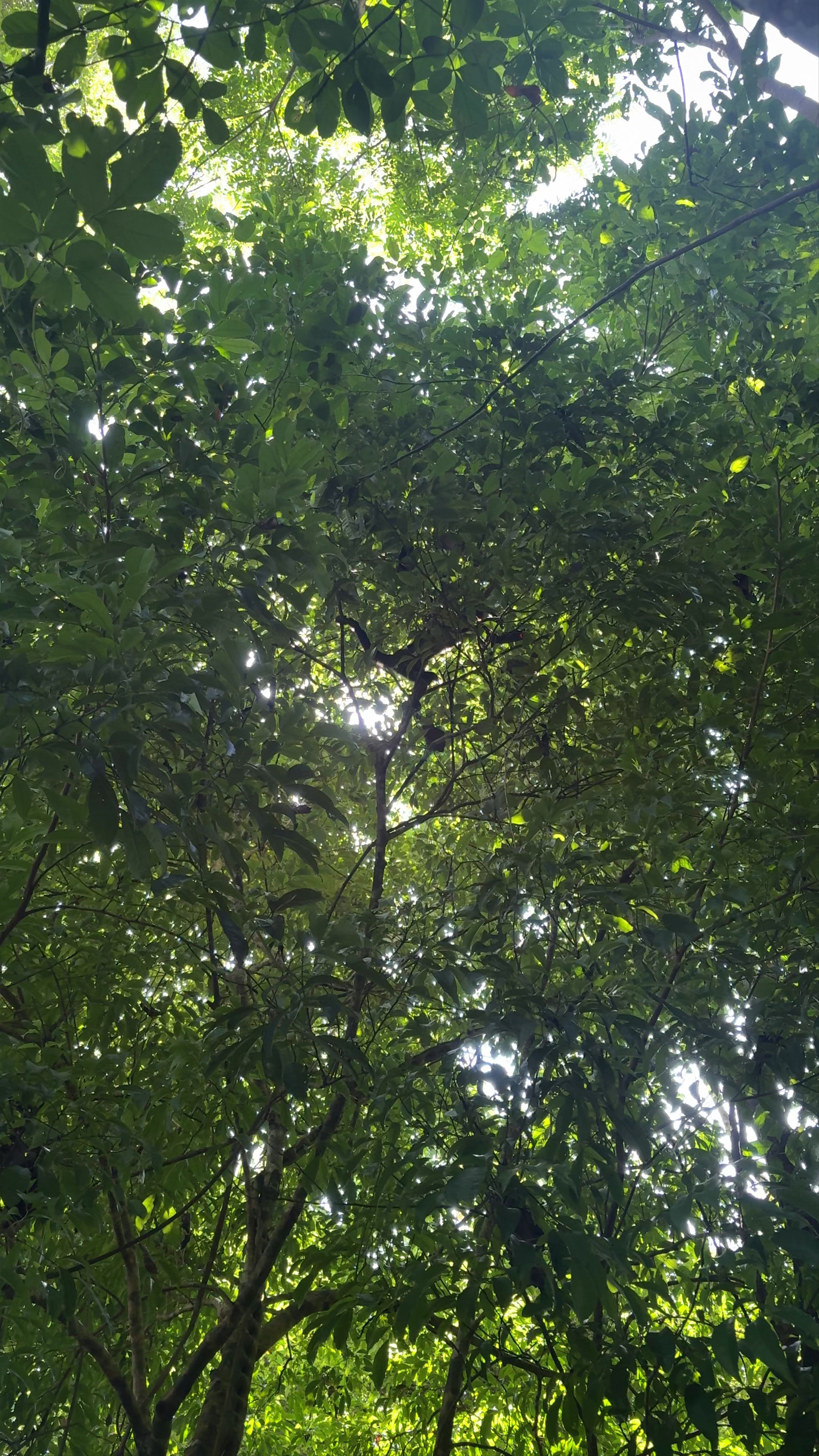 Taquilla El Zaino - Parque Nacional Natural Tayrona