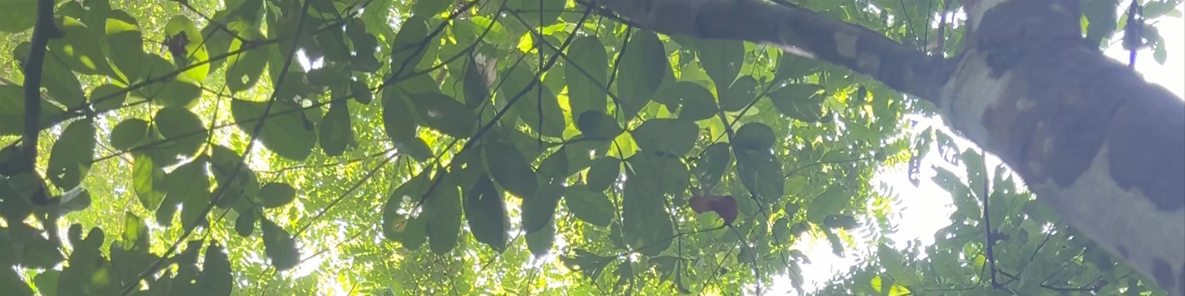 Taquilla El Zaino - Parque Nacional Natural Tayrona
