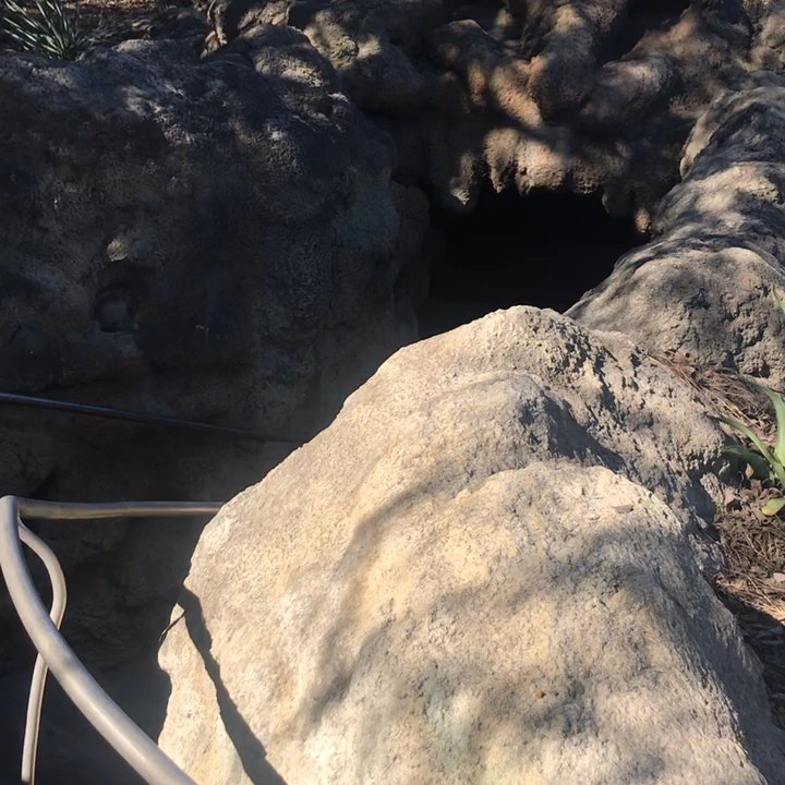 Grotto - Awesome little spot - Landmarks & Historical Buildings Near Me - San Antonio, Texas