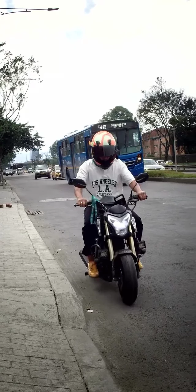 Contenido del creador