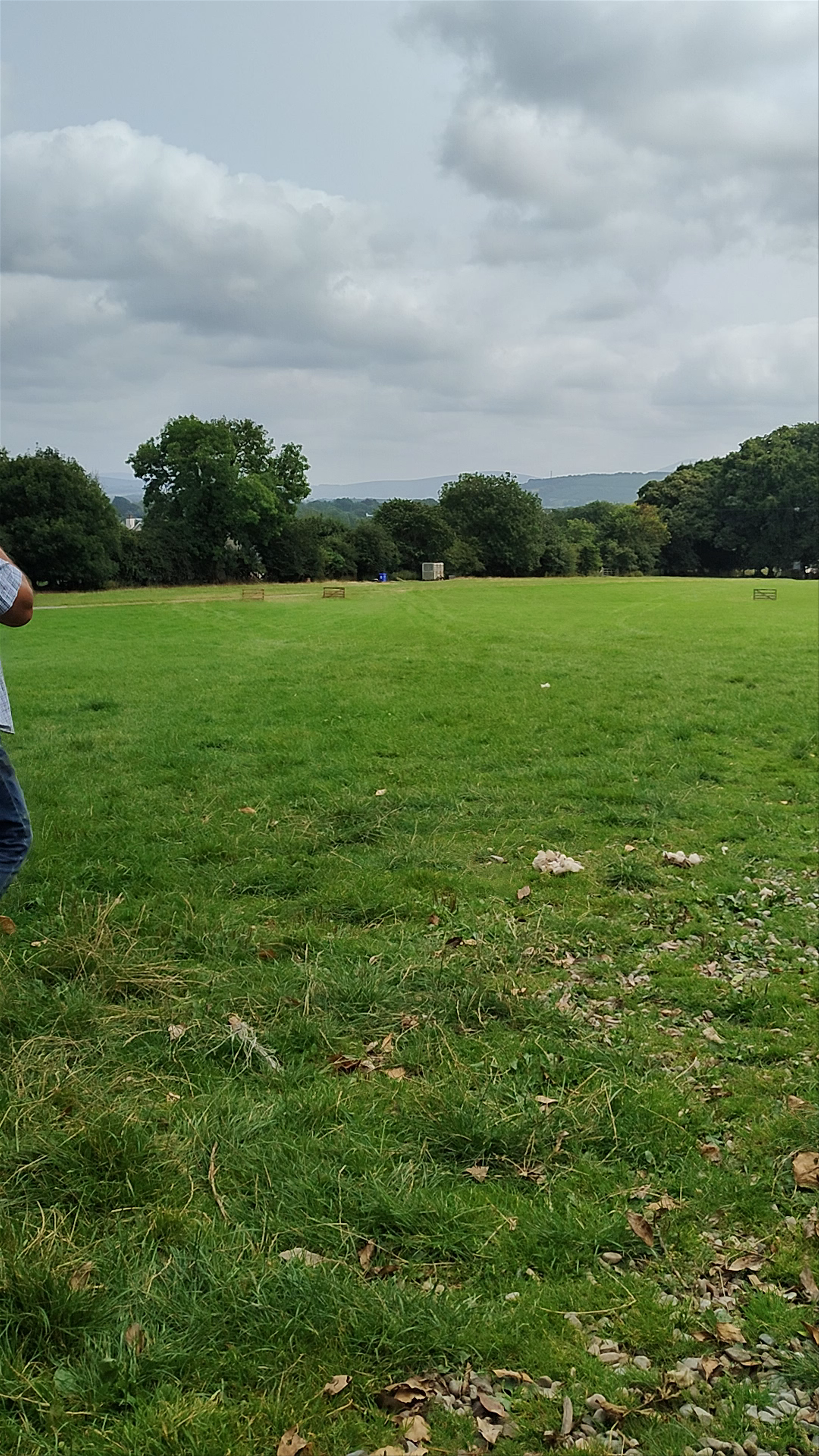 Irish Working Sheepdogs