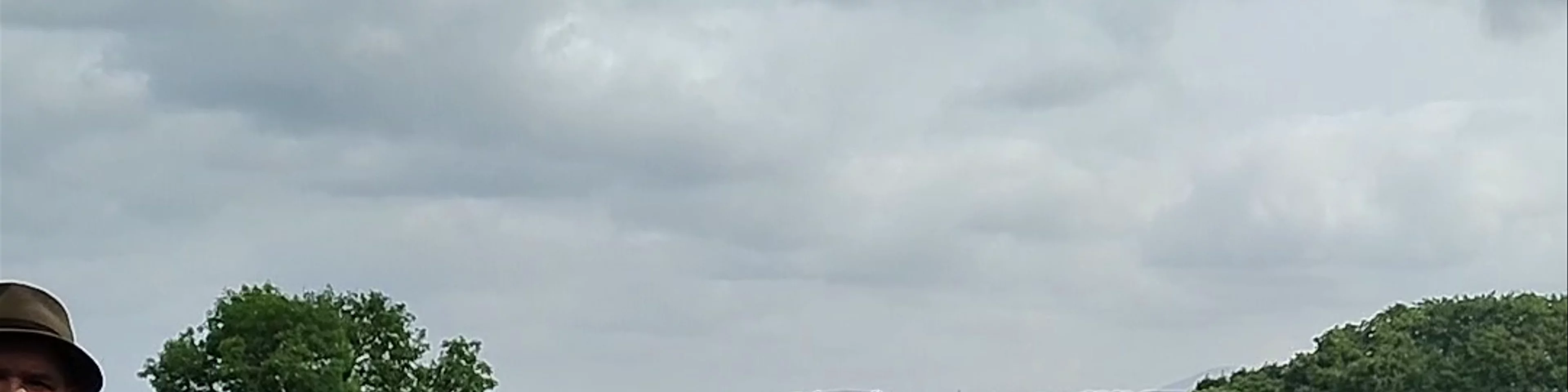 Irish Working Sheepdogs