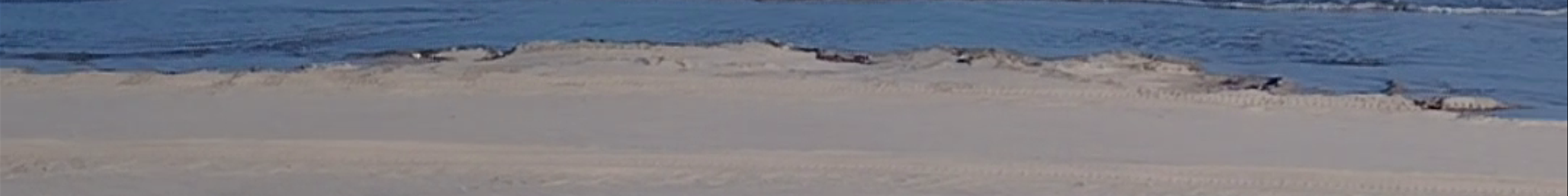 Tours & experiences in Qatar