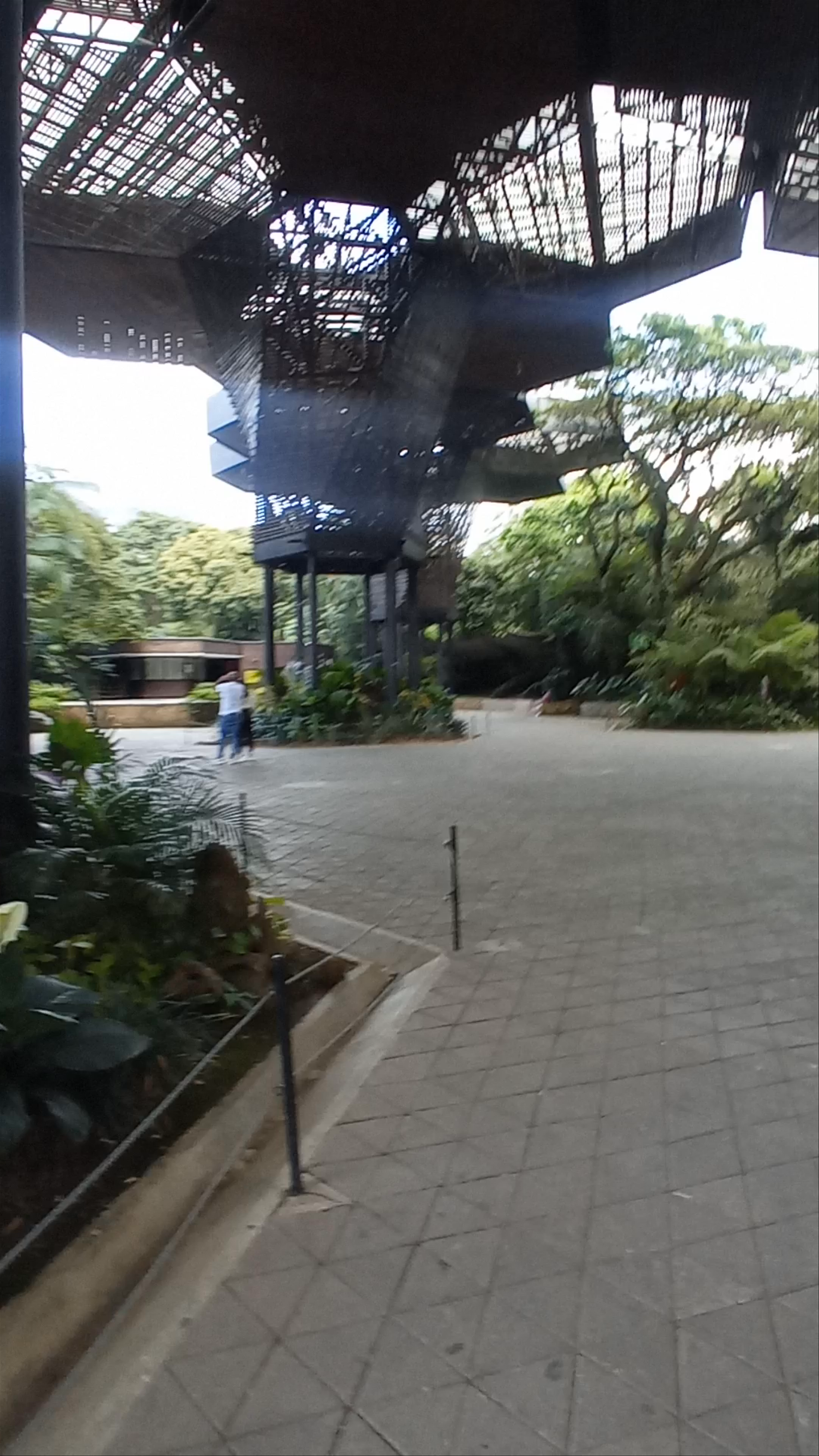 Jardín Botánico de Medellín: A Green Oasis in Antioquia