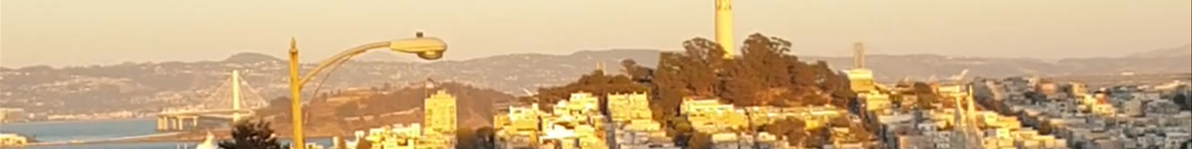Tours & experiences in San Francisco