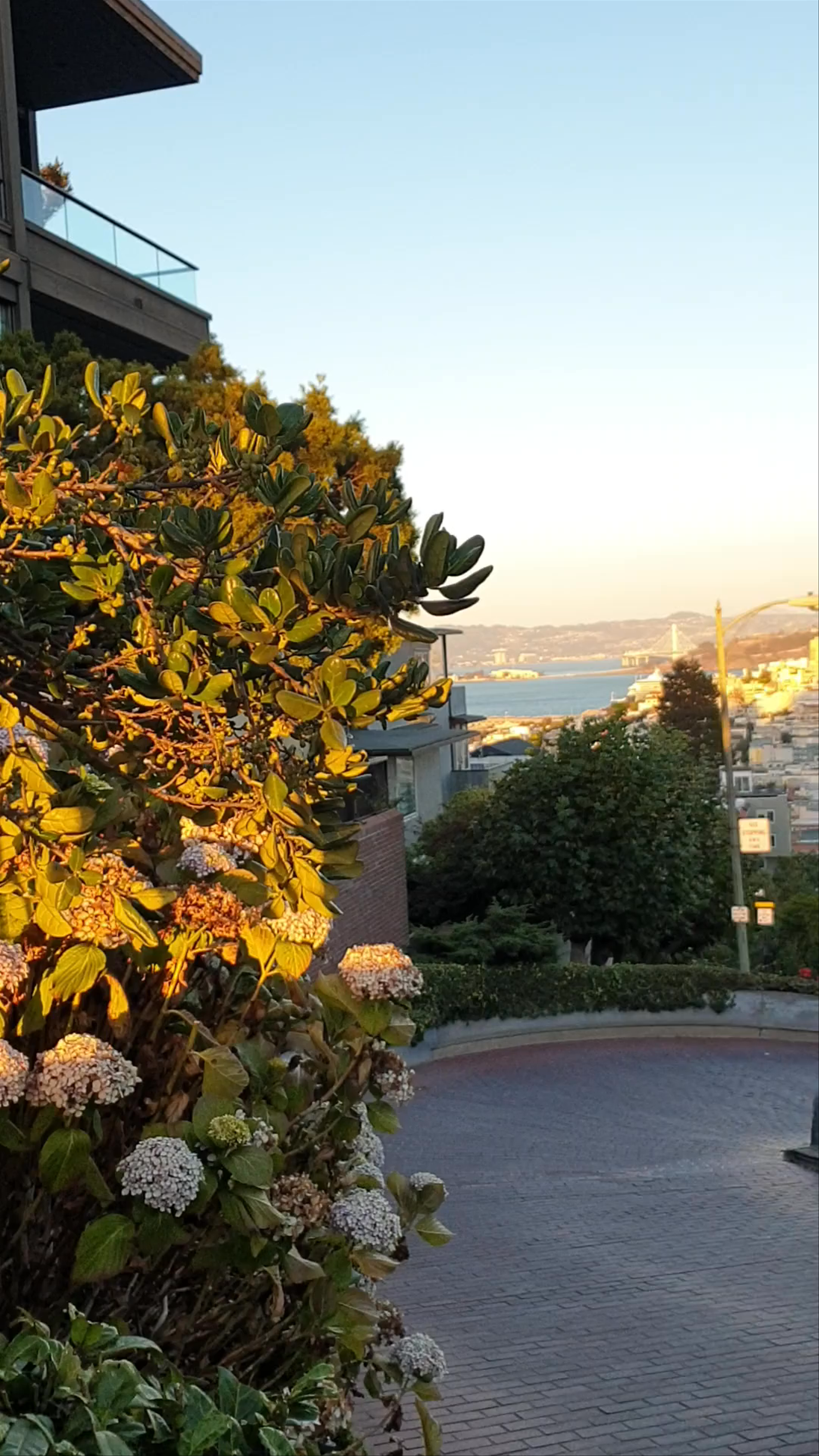 Lombard Street: Iconic Twist in San Francisco's Heart
