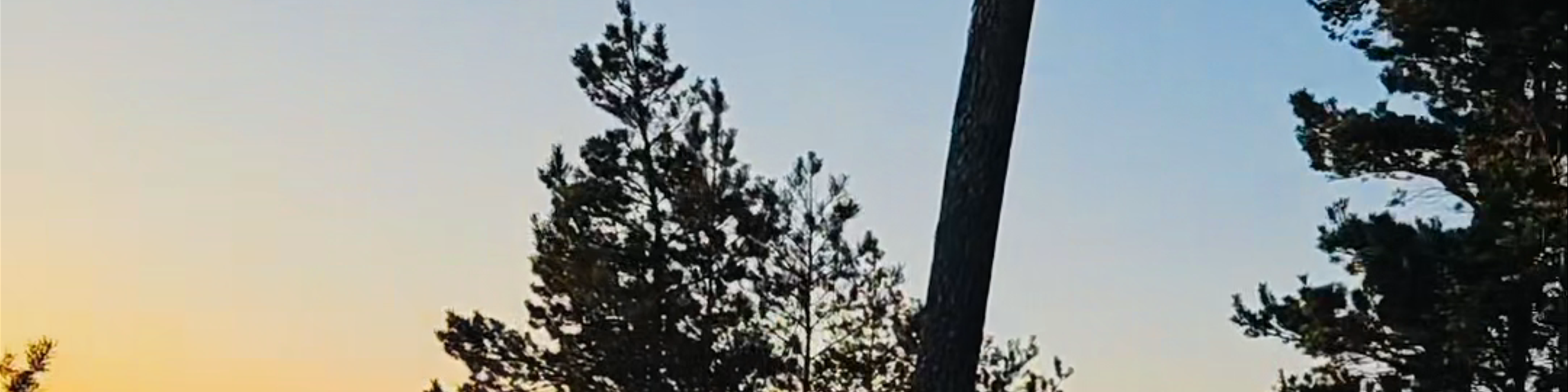 Saulkrasti