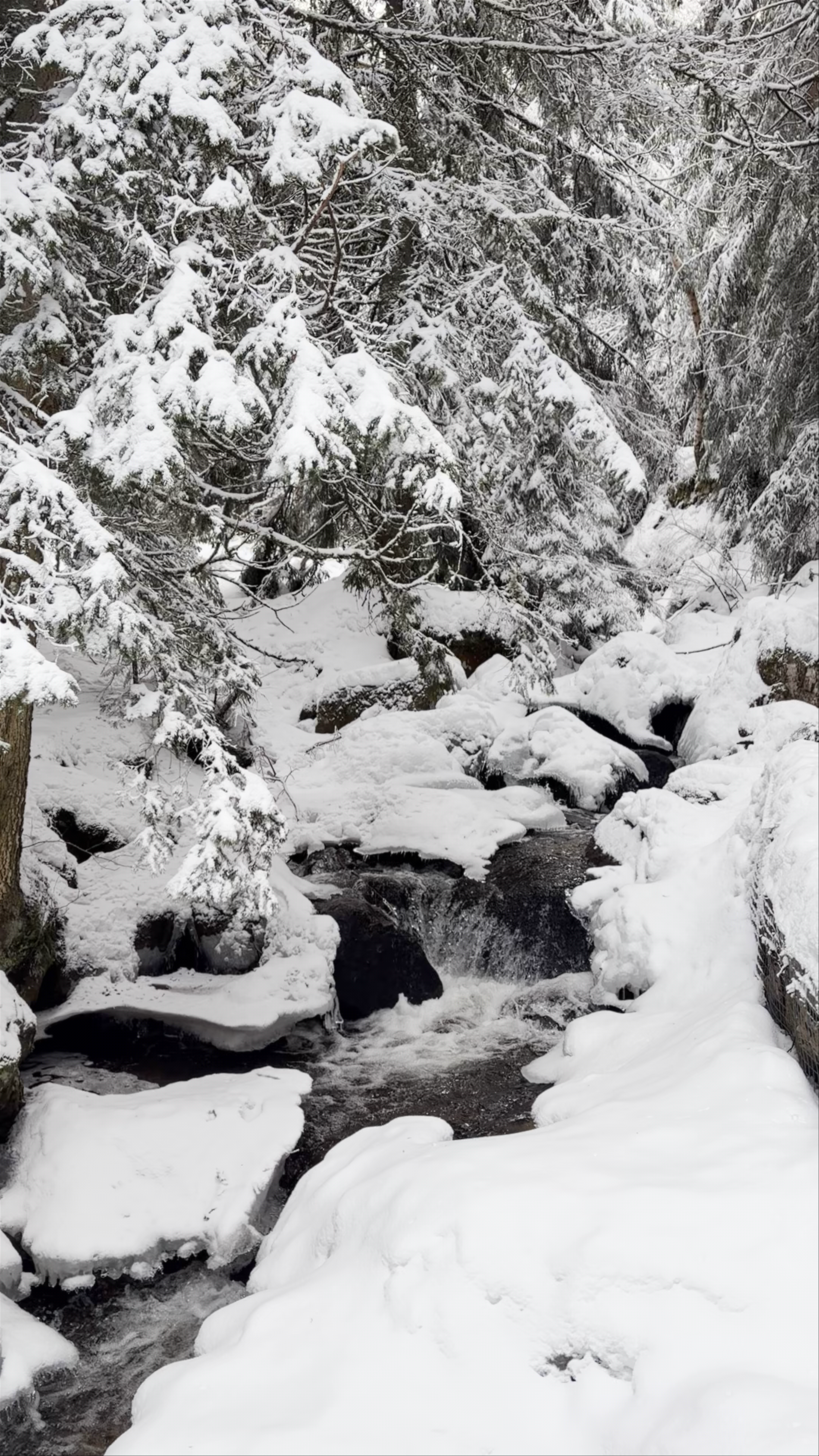 Stone river