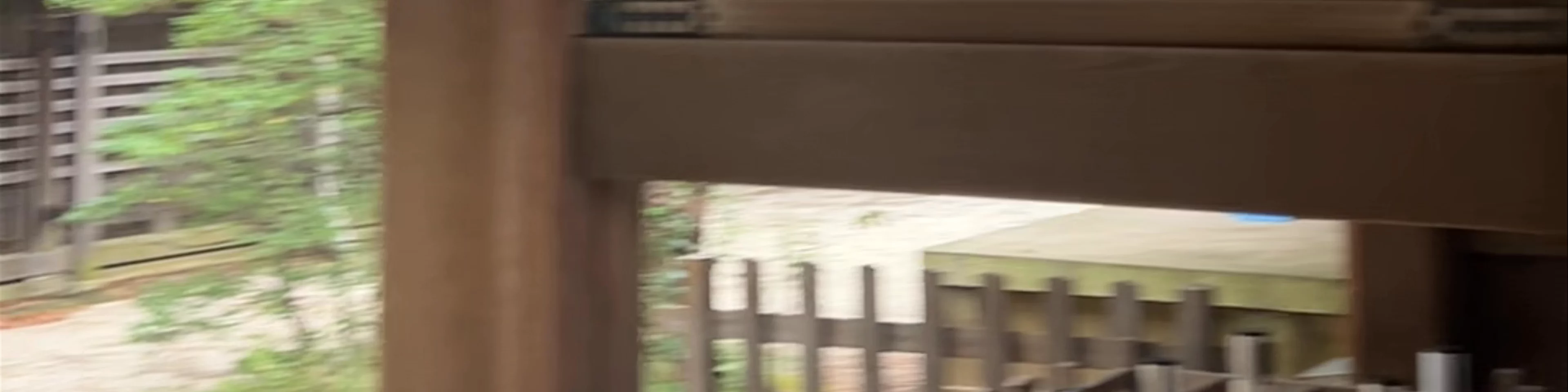 Meiji Jingu Ichino Torii