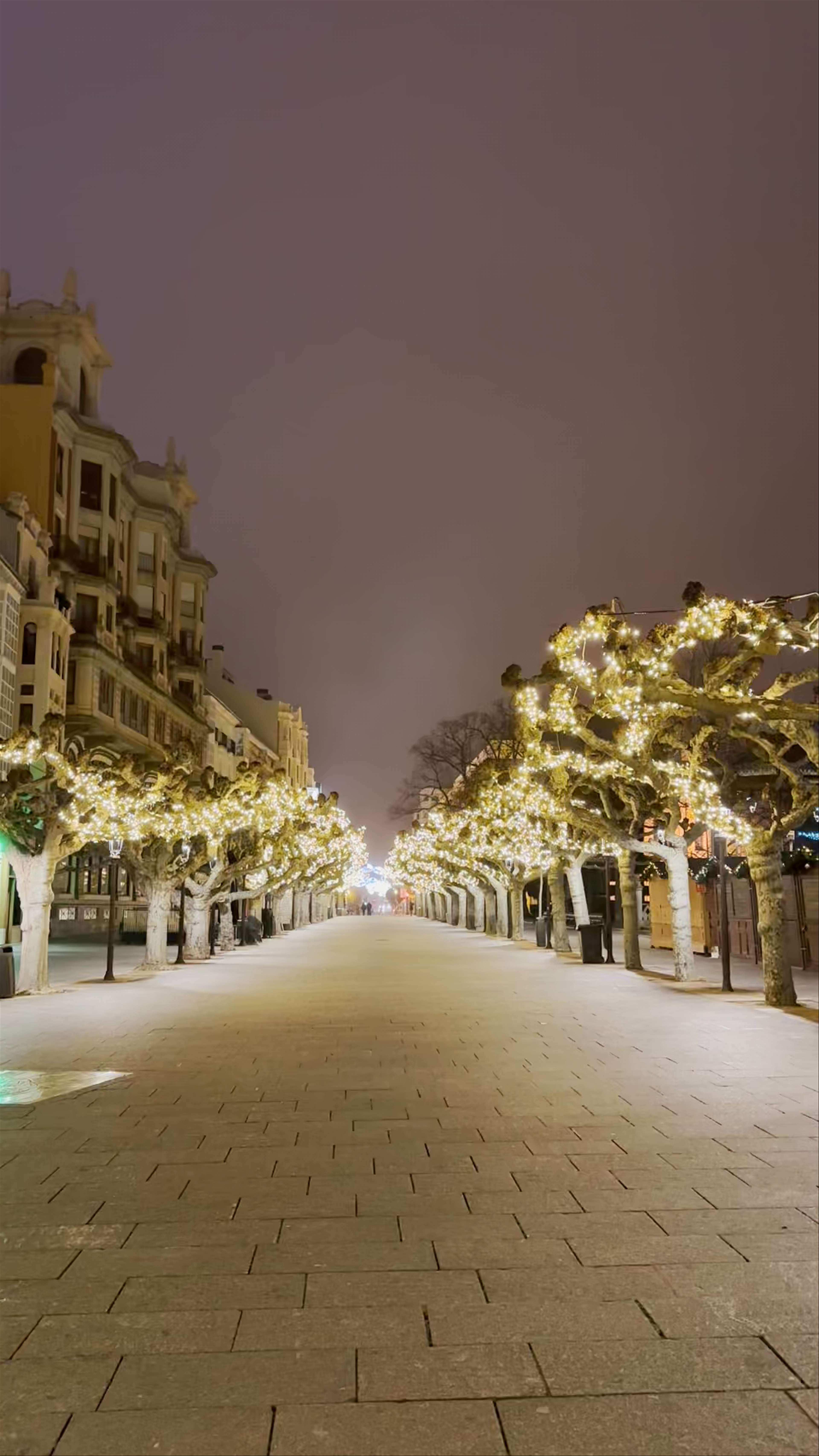 Winter Evening Stroll at Paseo de Marceliano Santa María, Burgos