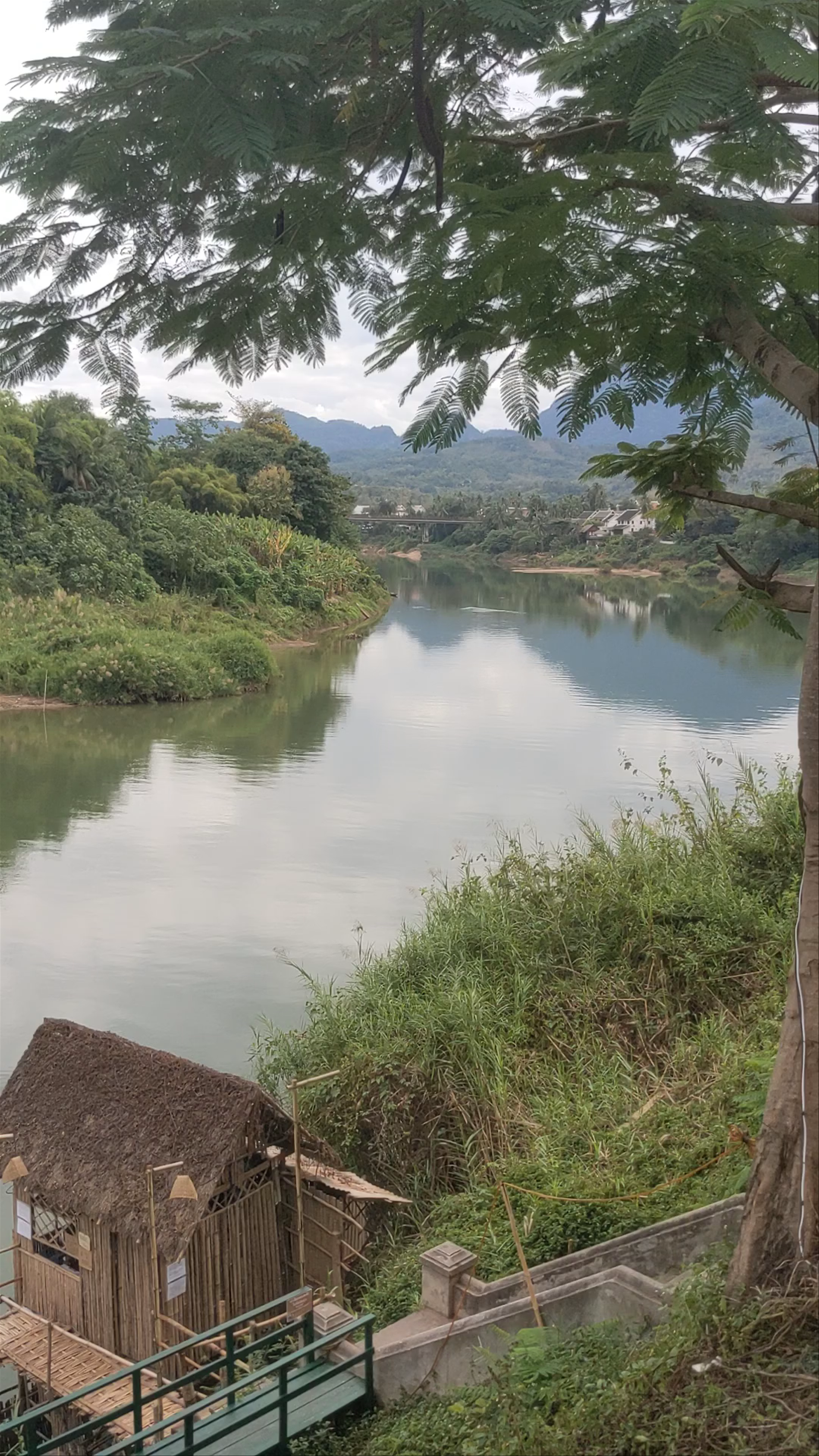Bamboo Bridge: Tranquil Crossing in Luang Prabang, Laos