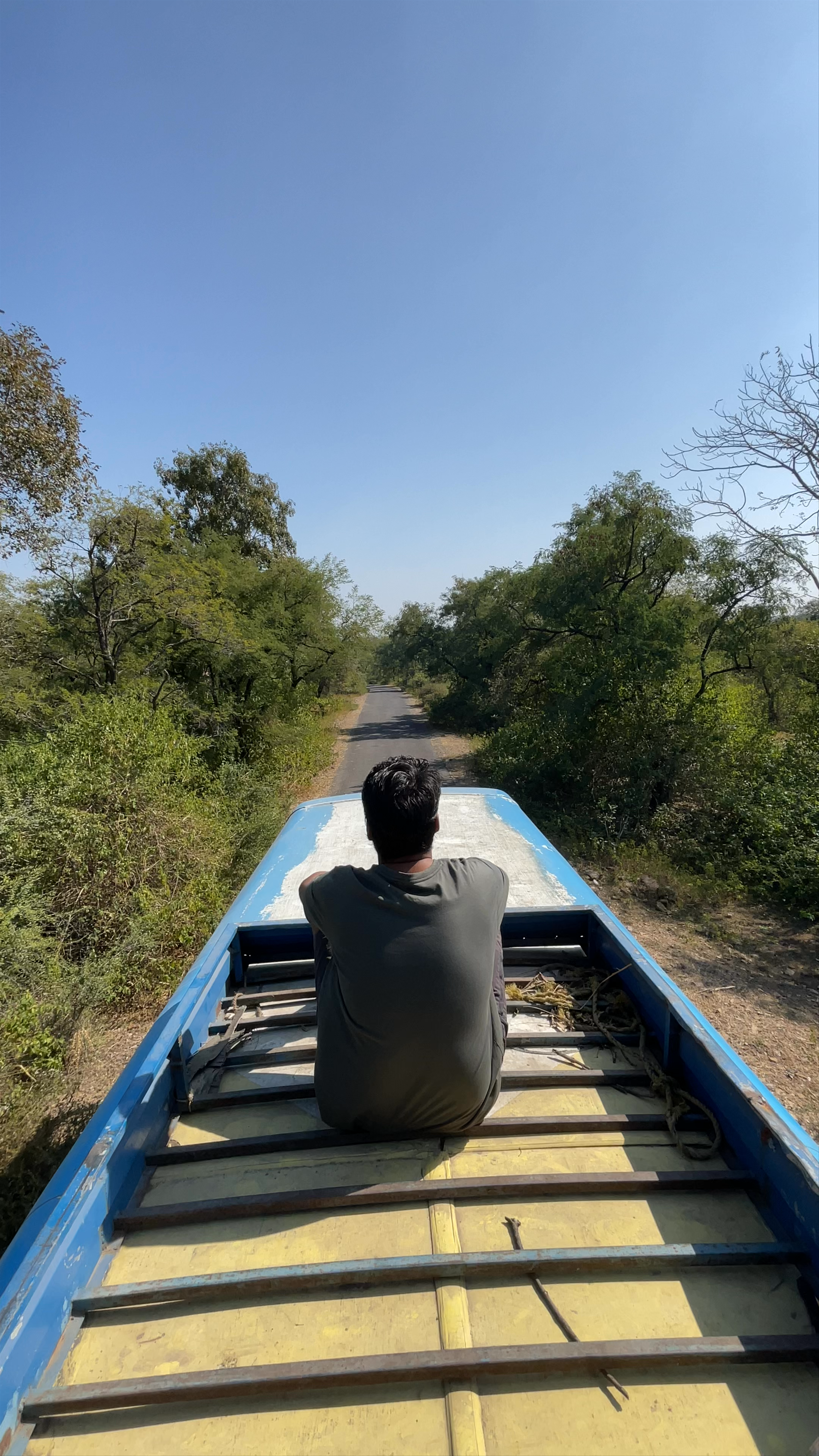 Serene Forest Journey in Mandesara, Rajasthan