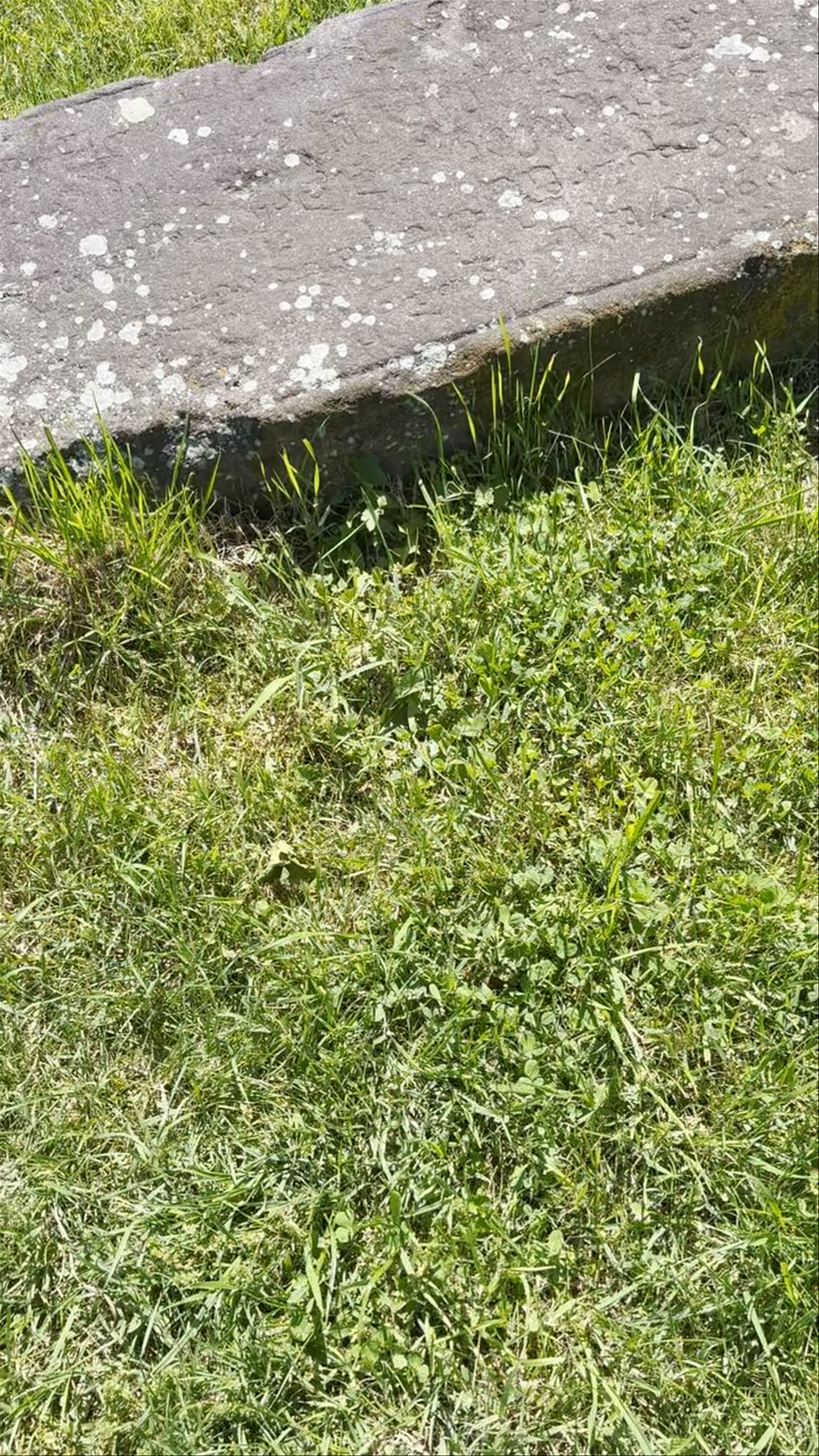 Monumento dedicado a los heroes georgianos