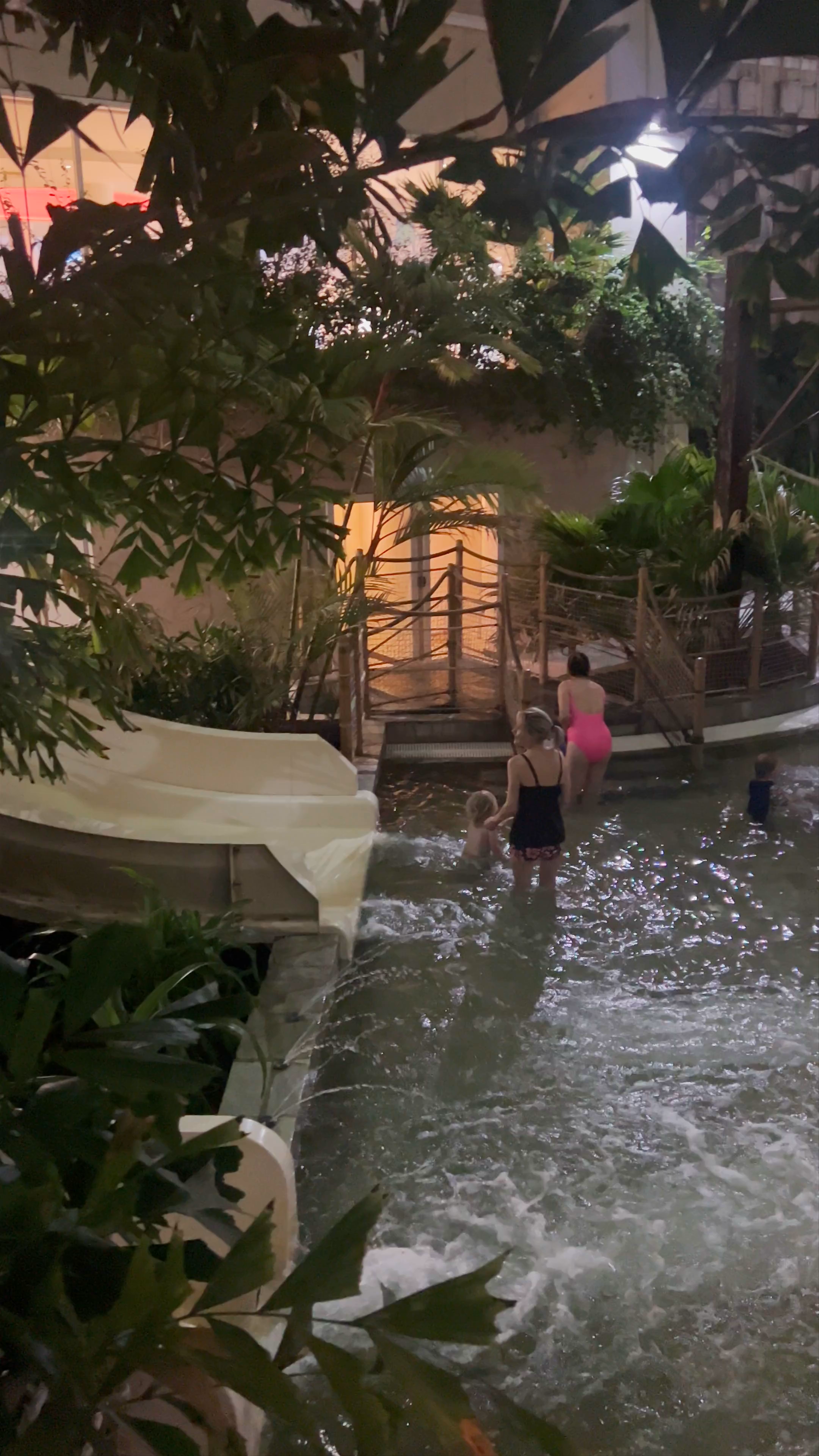 Subtropical Swimming Paradise: Indoor Tropical Escape in Bedford