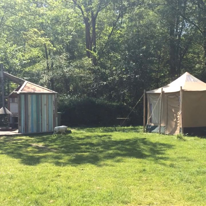 Camping Vliegenbos - dog approved - Campgrounds Near Me - Amsterdam, New Hampshire