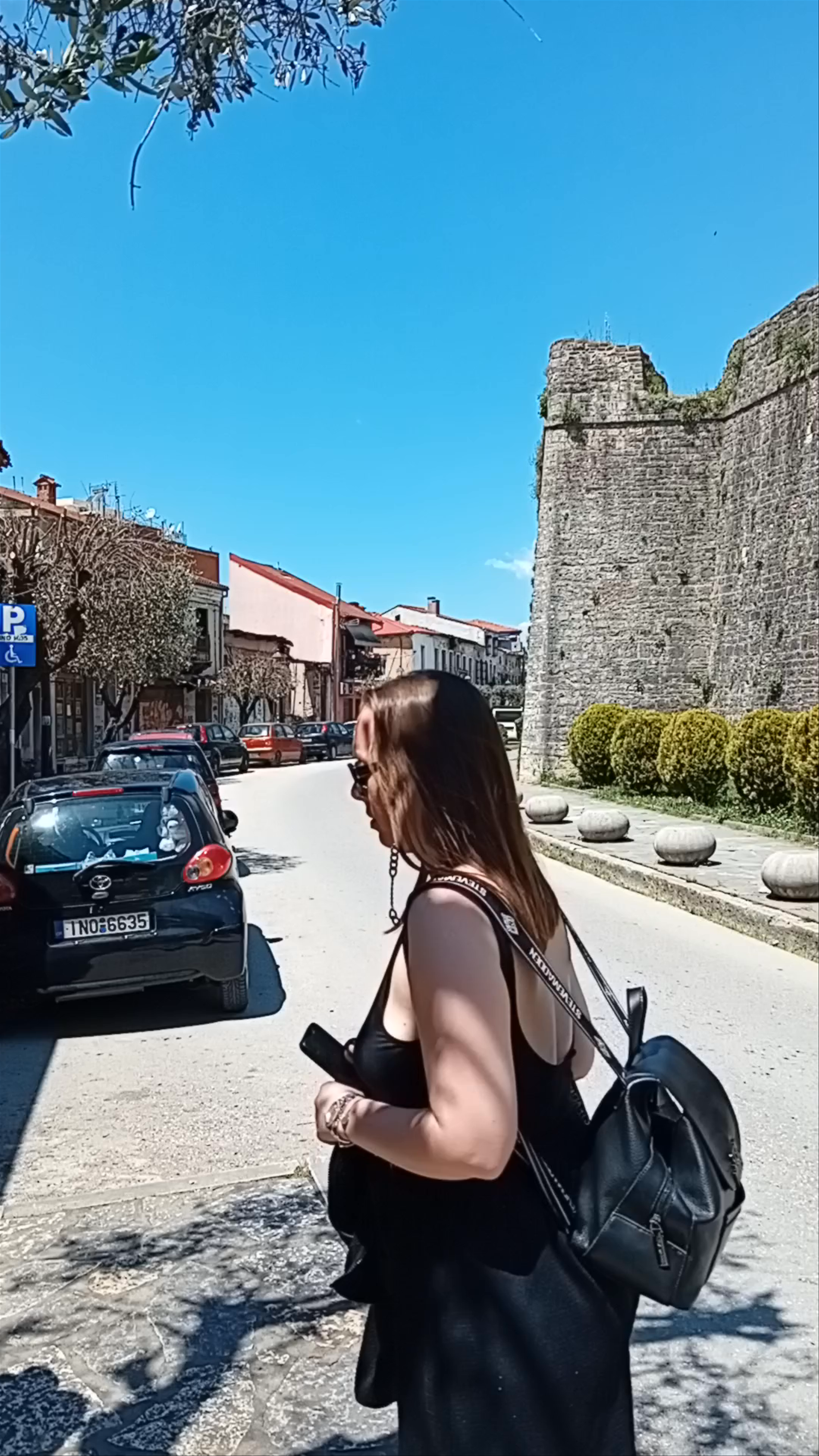 Ioannina Castle