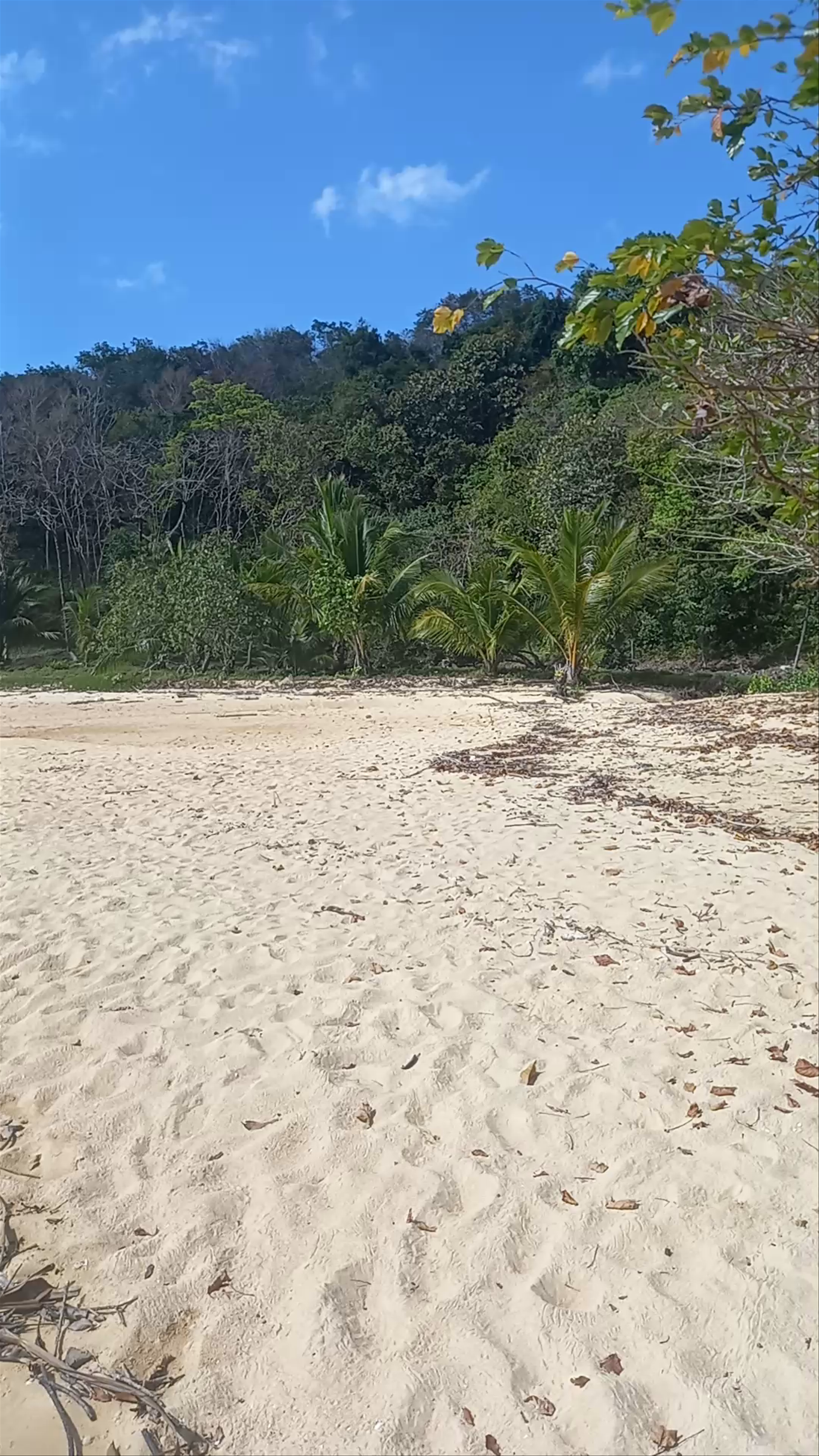 Tranquil Escape at Long Beach, Ko Yao Noi, Thailand