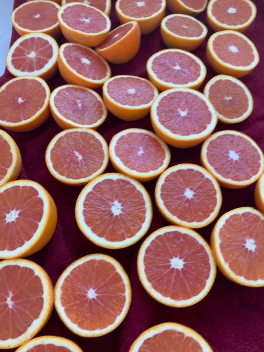 Gless Ranch - Cara Cara oranges - Farmers Market Near Me - Riverside, California