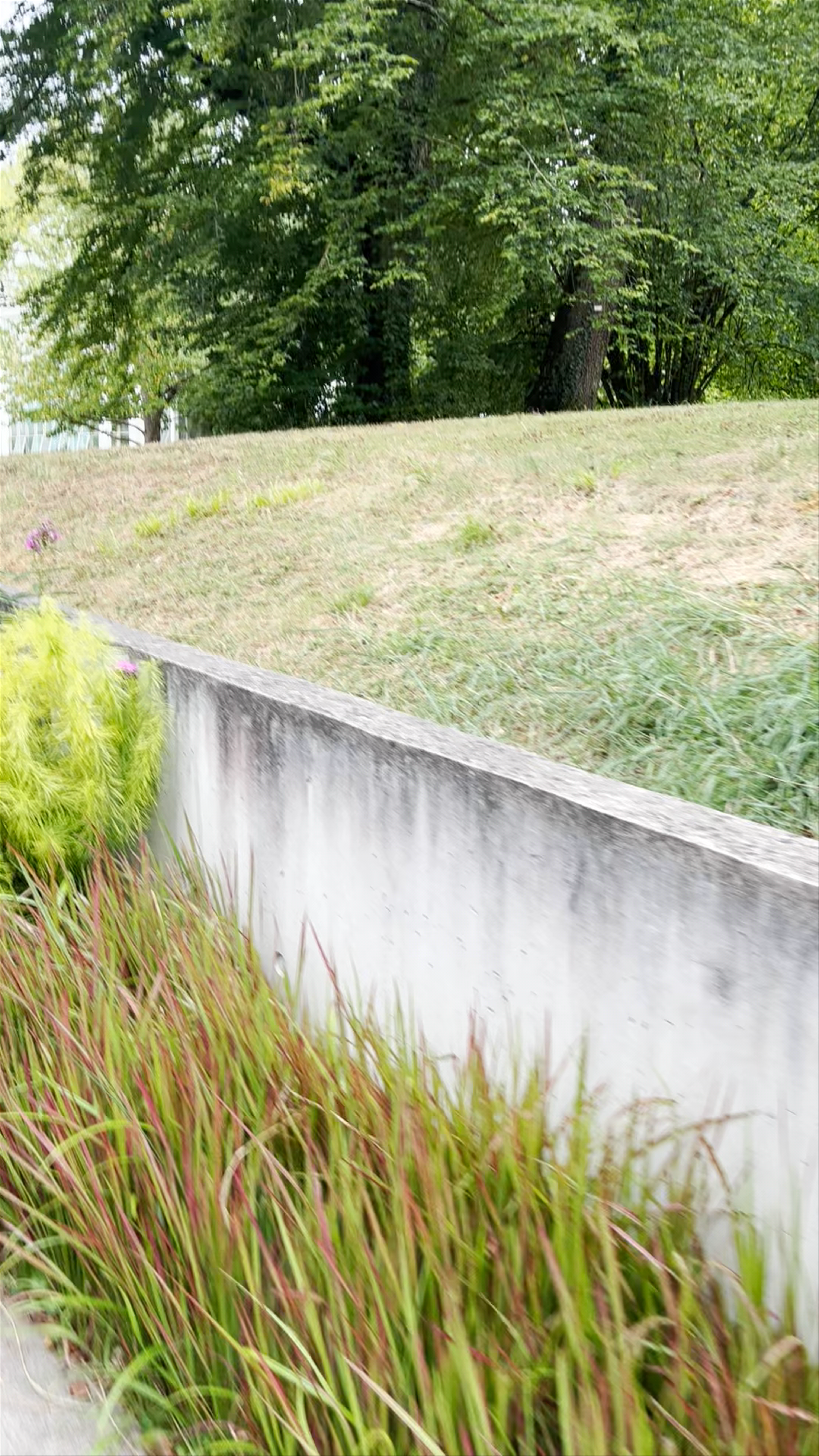 Serene Stroll Through Jardin Botanique, Geneva