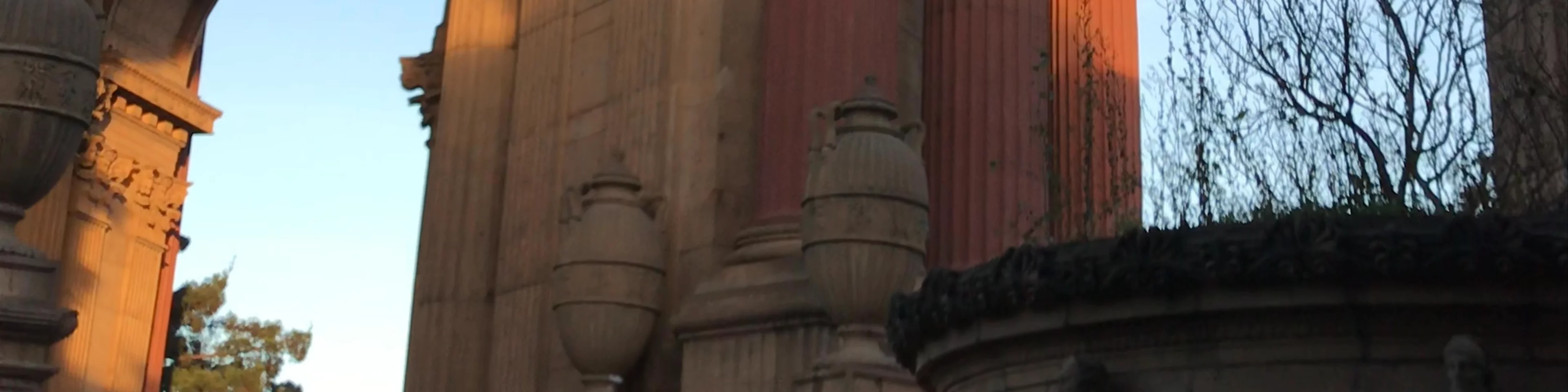 The Palace Of Fine Arts