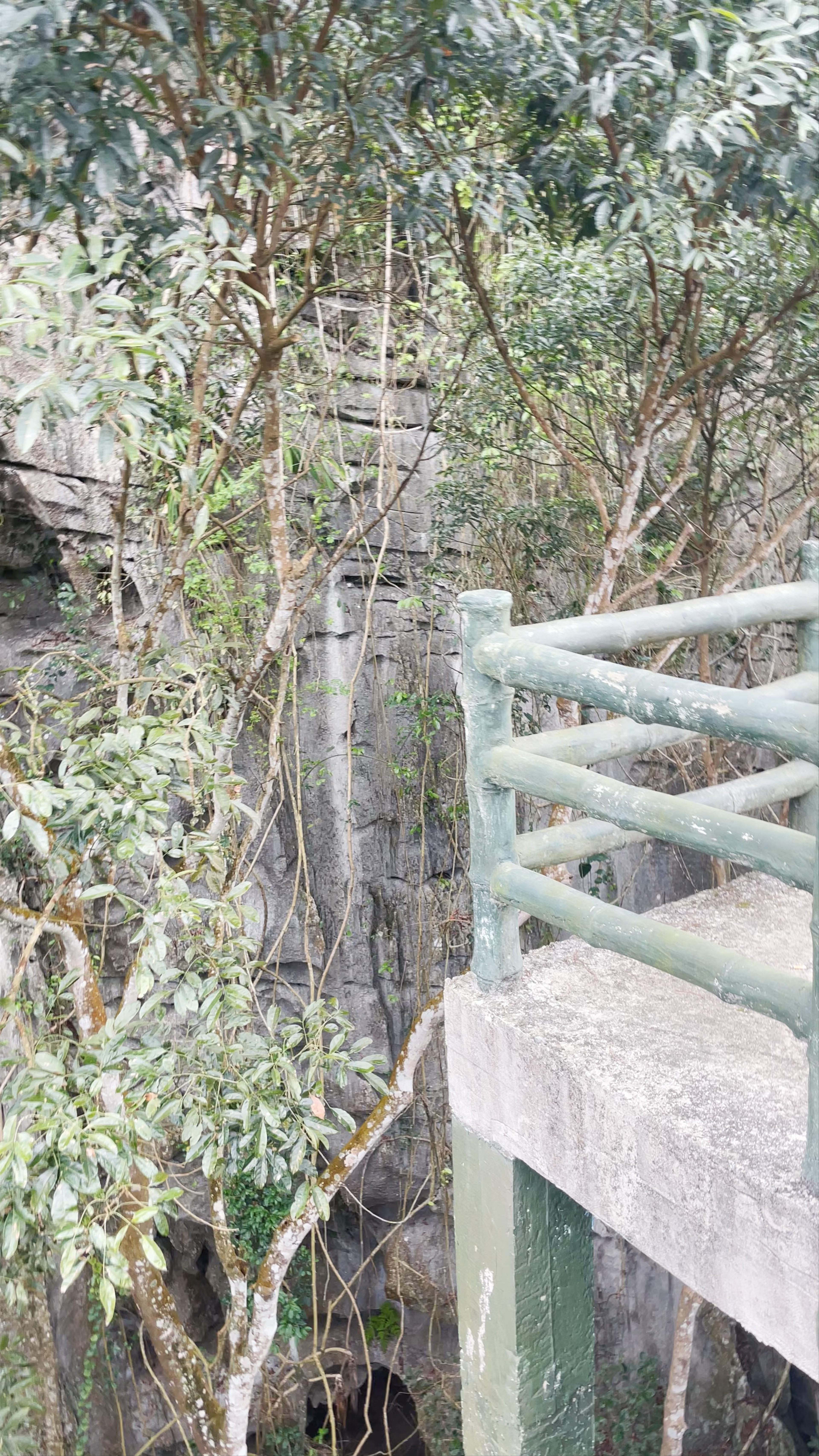 Trung Trang Cave