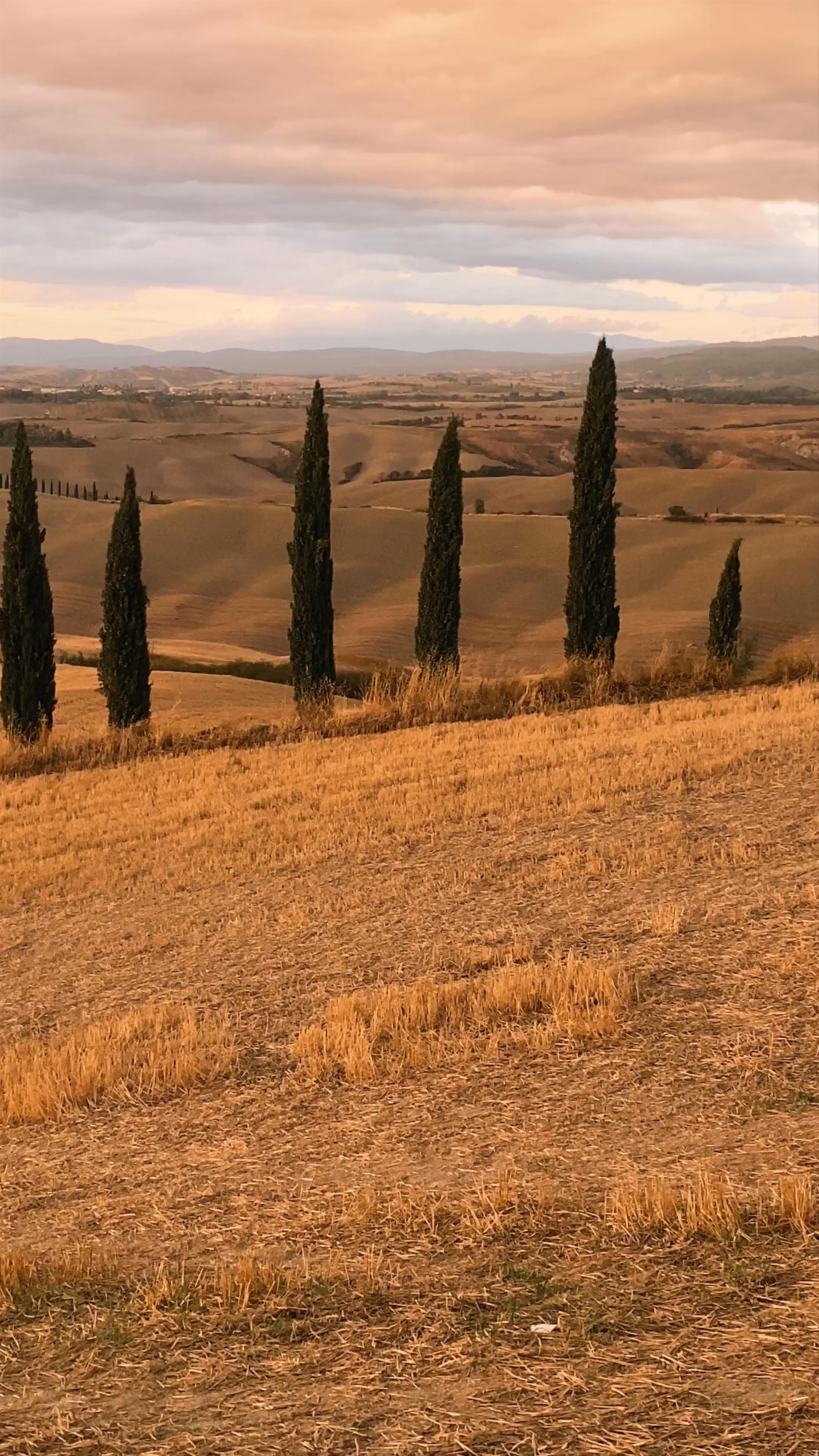 Golden Tuscan Sunset at Agriturismo Baccoleno in Asciano