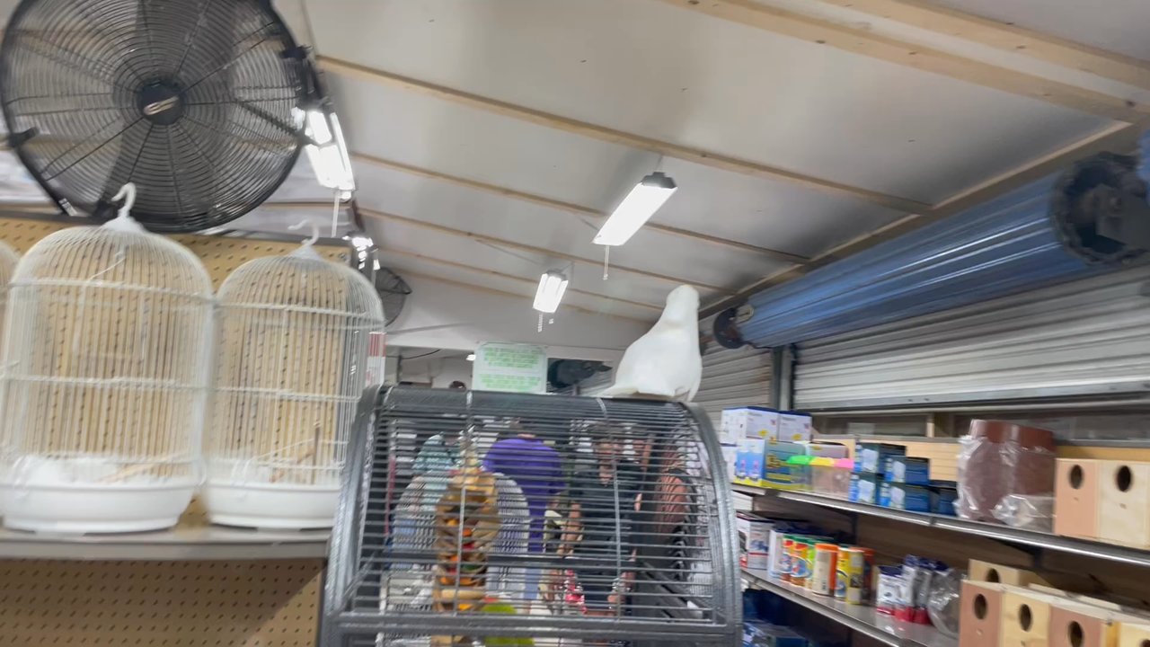Beach Boulevard Flea Market - Flea Markets Near Me - Jacksonville, Florida