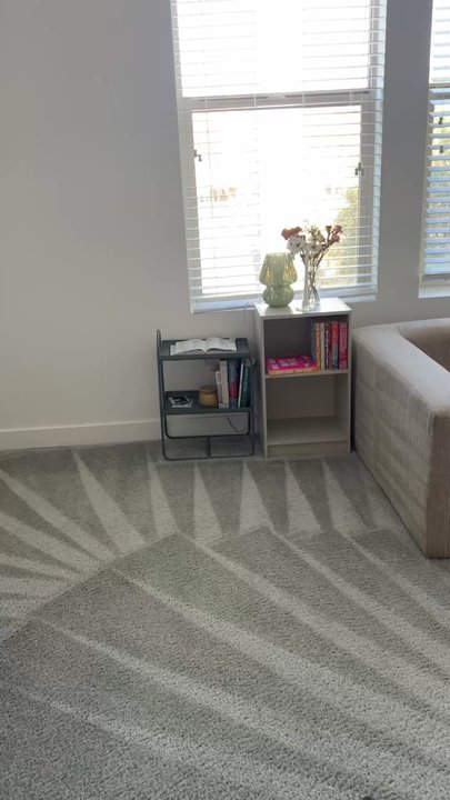 Diamond Superior Cleaning - Pre-Treated Carpet service w/ Chair cleaning! - Carpet Cleaning Near Me - Las Vegas, Nevada