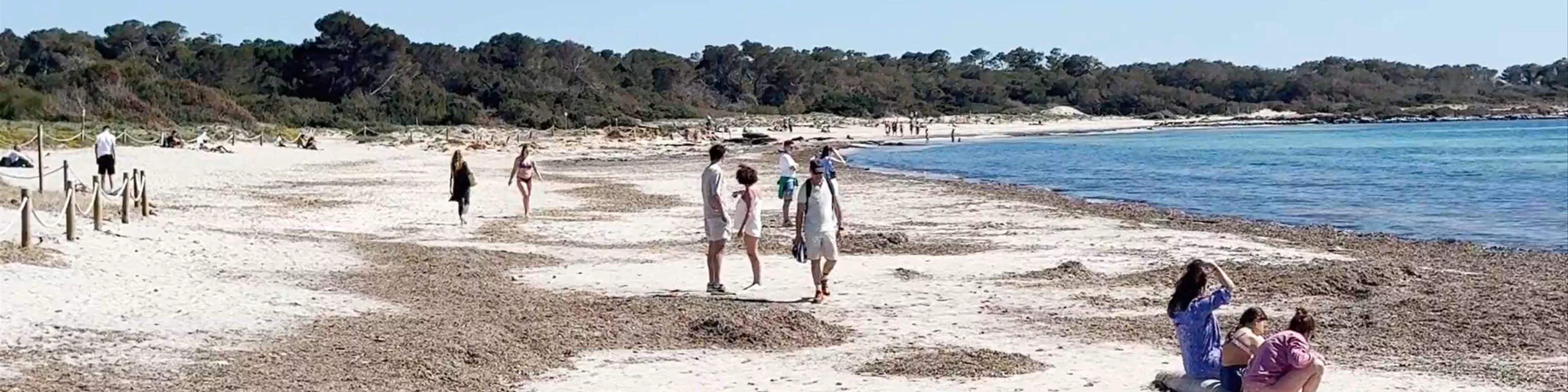 Platja des Dolç