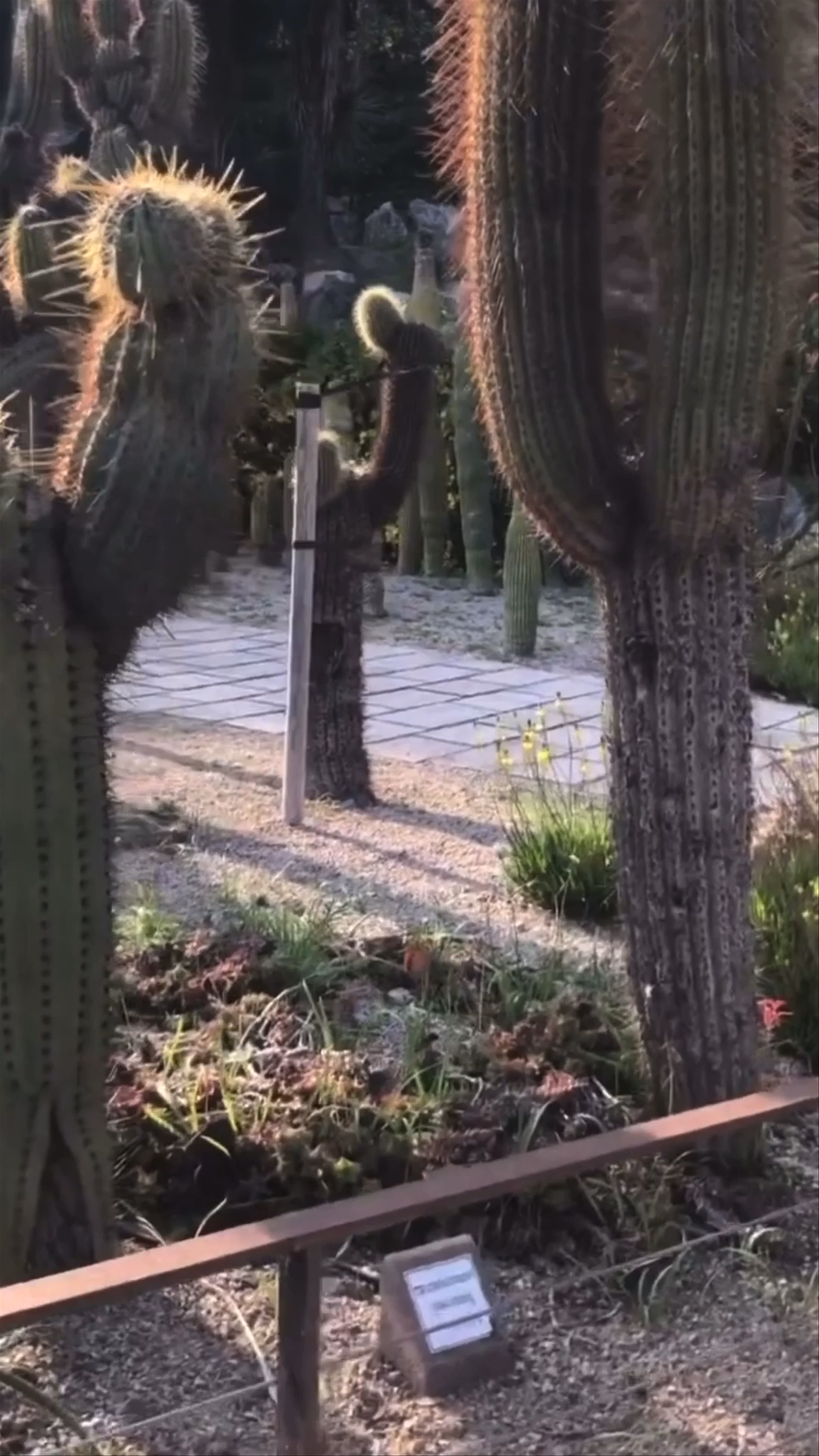 Jardín Botánico de Barcelona