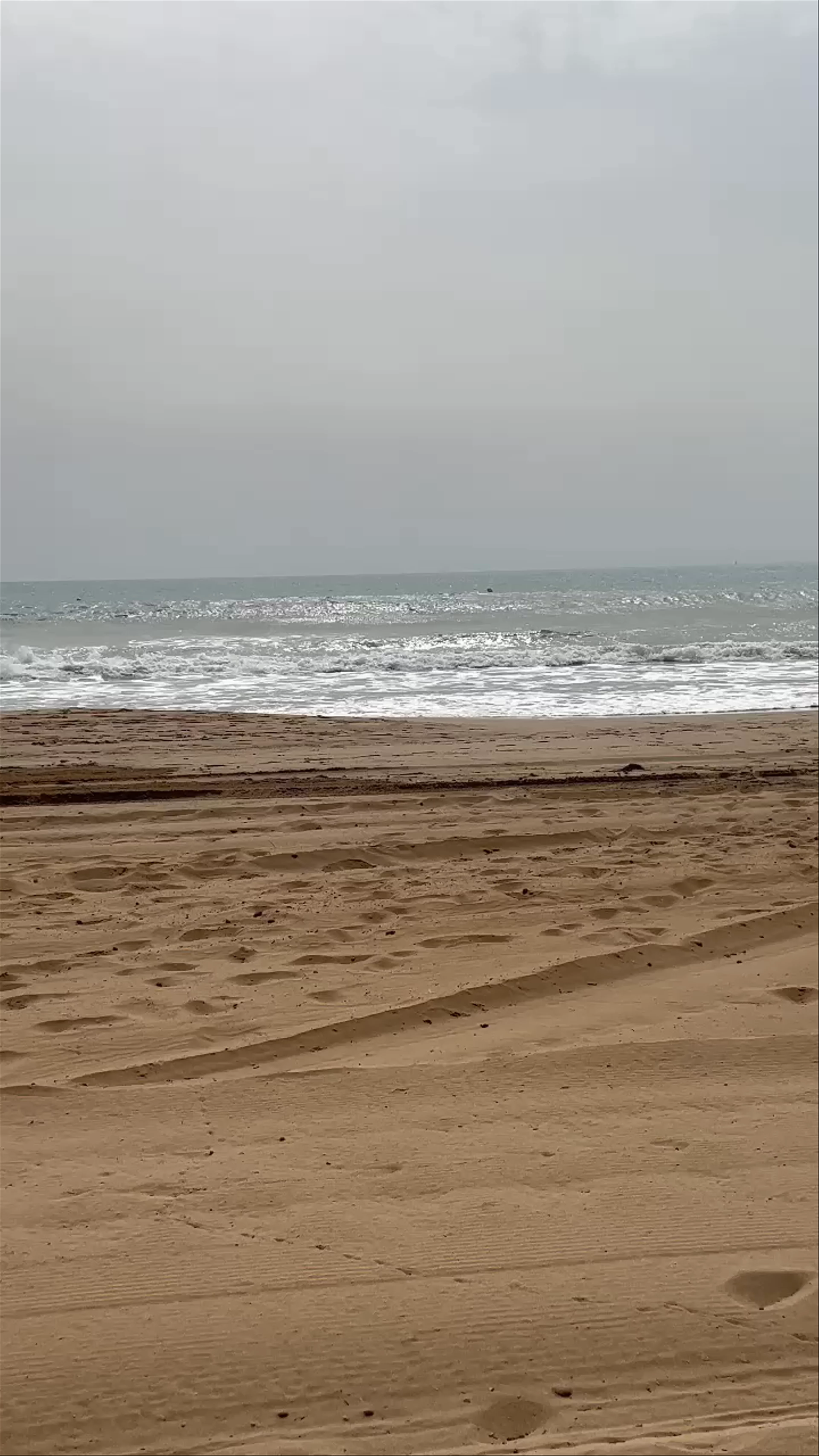 Playa del Saladar