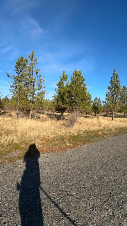 Palisades Park - 11/16/24 - Parks Near Me - Spokane, Washington
