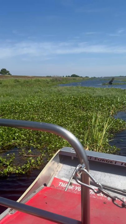 FLORIDA CRACKER AIRBOAT RIDE - Updated June 2026 - 58 Photos & 40 ...