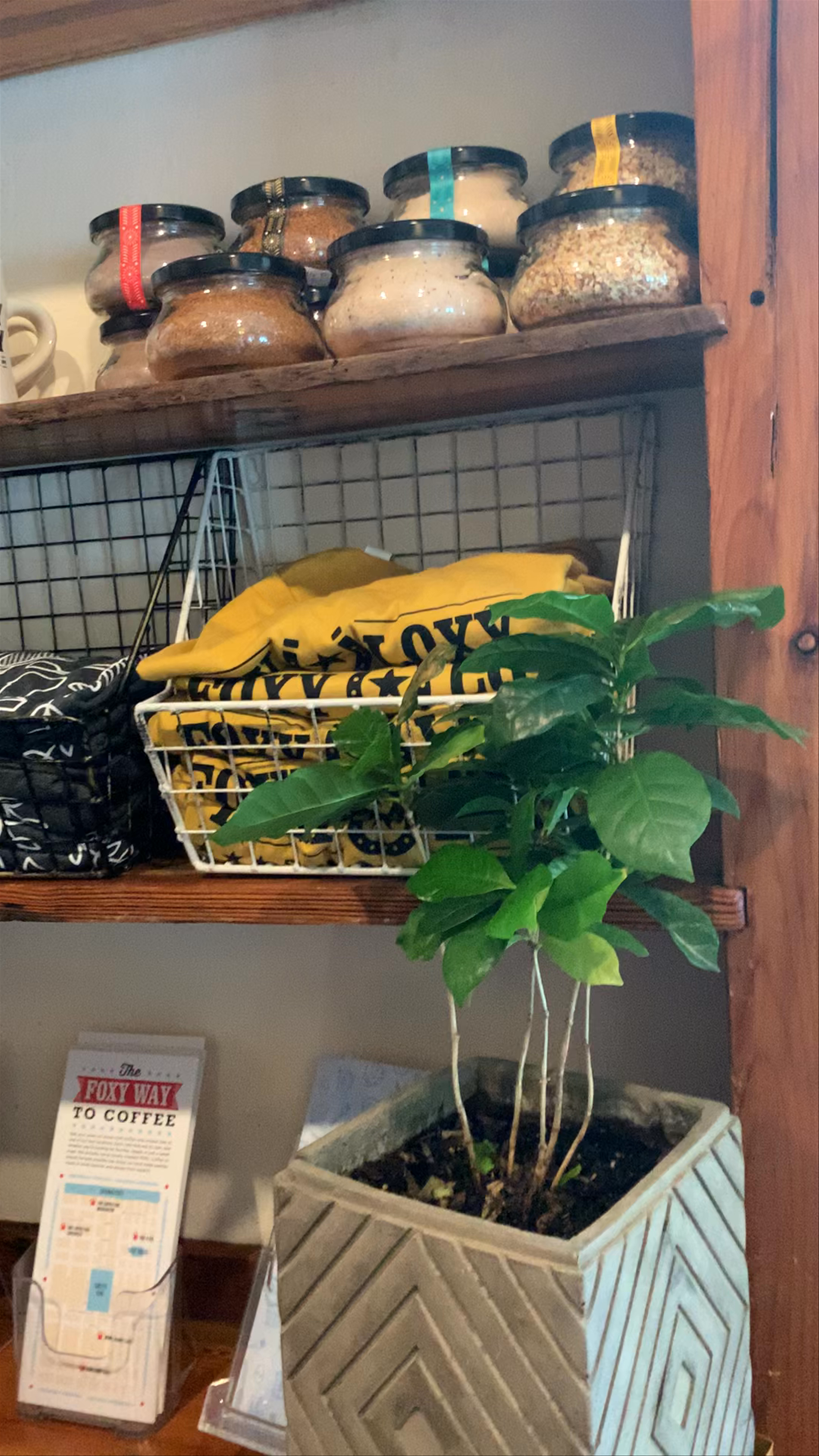 Cozy Local Coffee Shop Vibes in Savannah