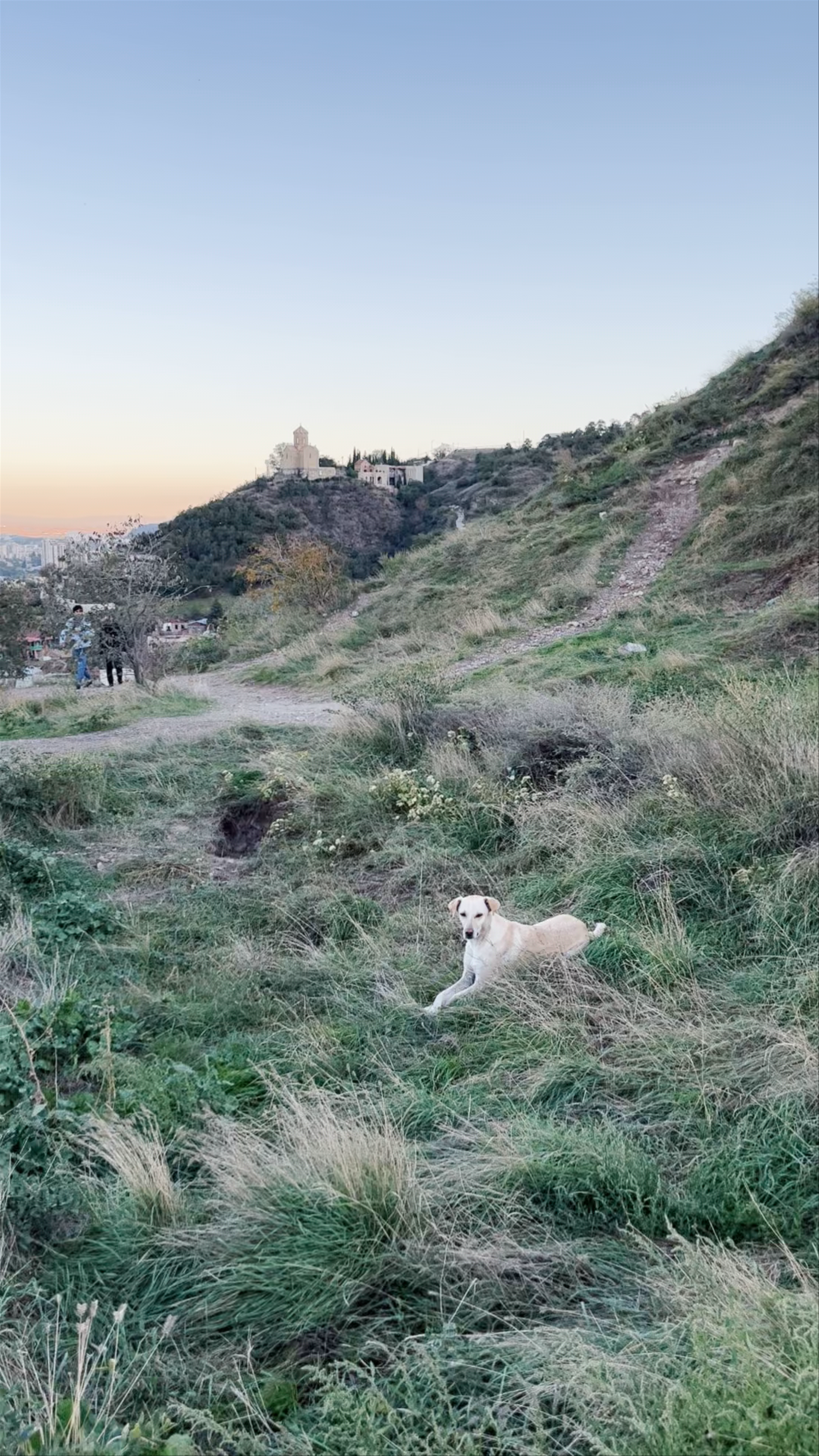 Funicular view point