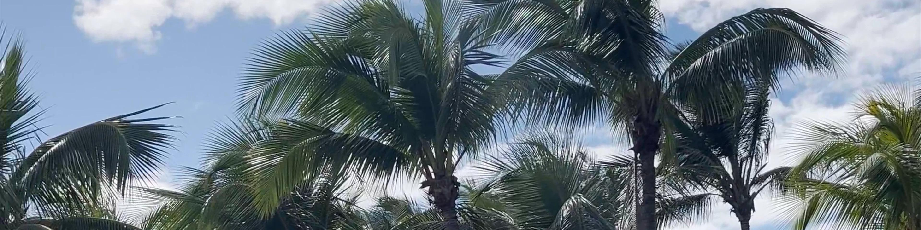 Trou aux Biches Beachcomber Golf Resort & Spa