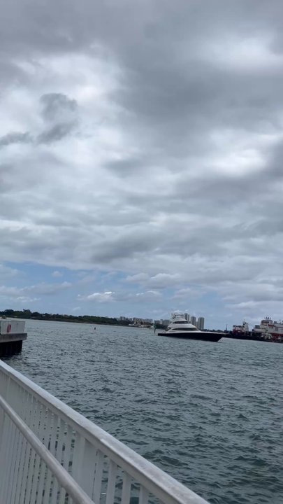 Manatee Lagoon - Aquariums Near Me - West Palm Beach, Florida