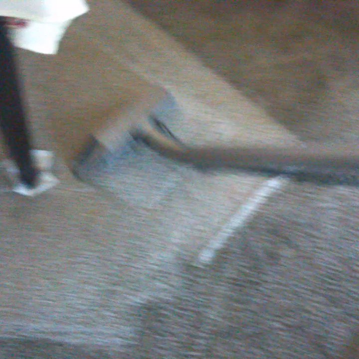 Steve's Carpet Care - Steve's Carpet Care (909)648-2199 - Carpet Cleaning Near Me